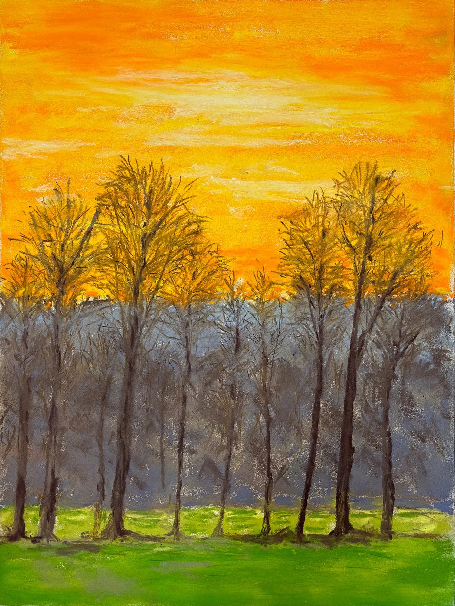 Spring Trees IV, Pastel Board, 20x16