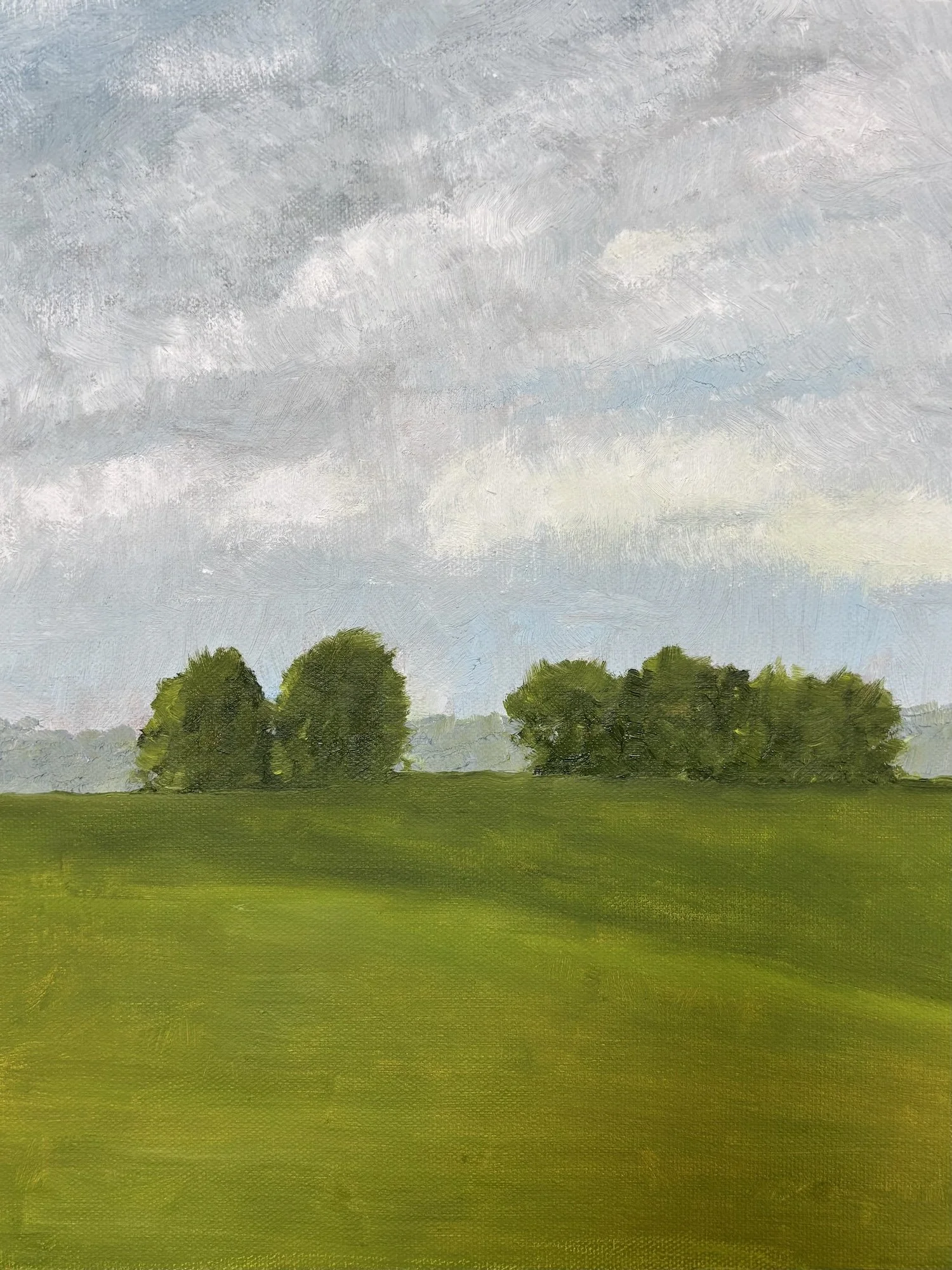 Field Landscape I, Oil on Canvas, 10x13