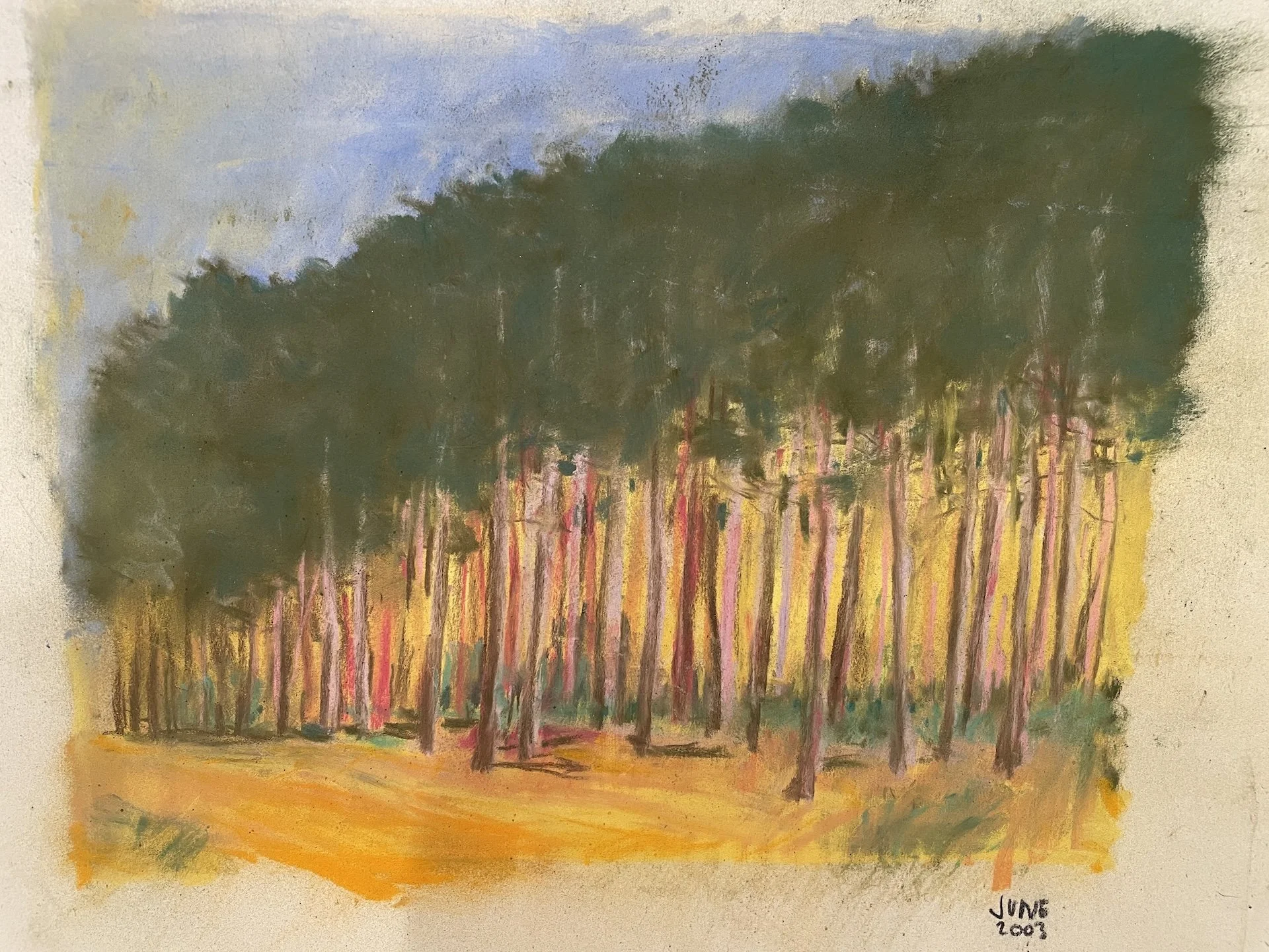 Trees Landscape II, Pastel Board 