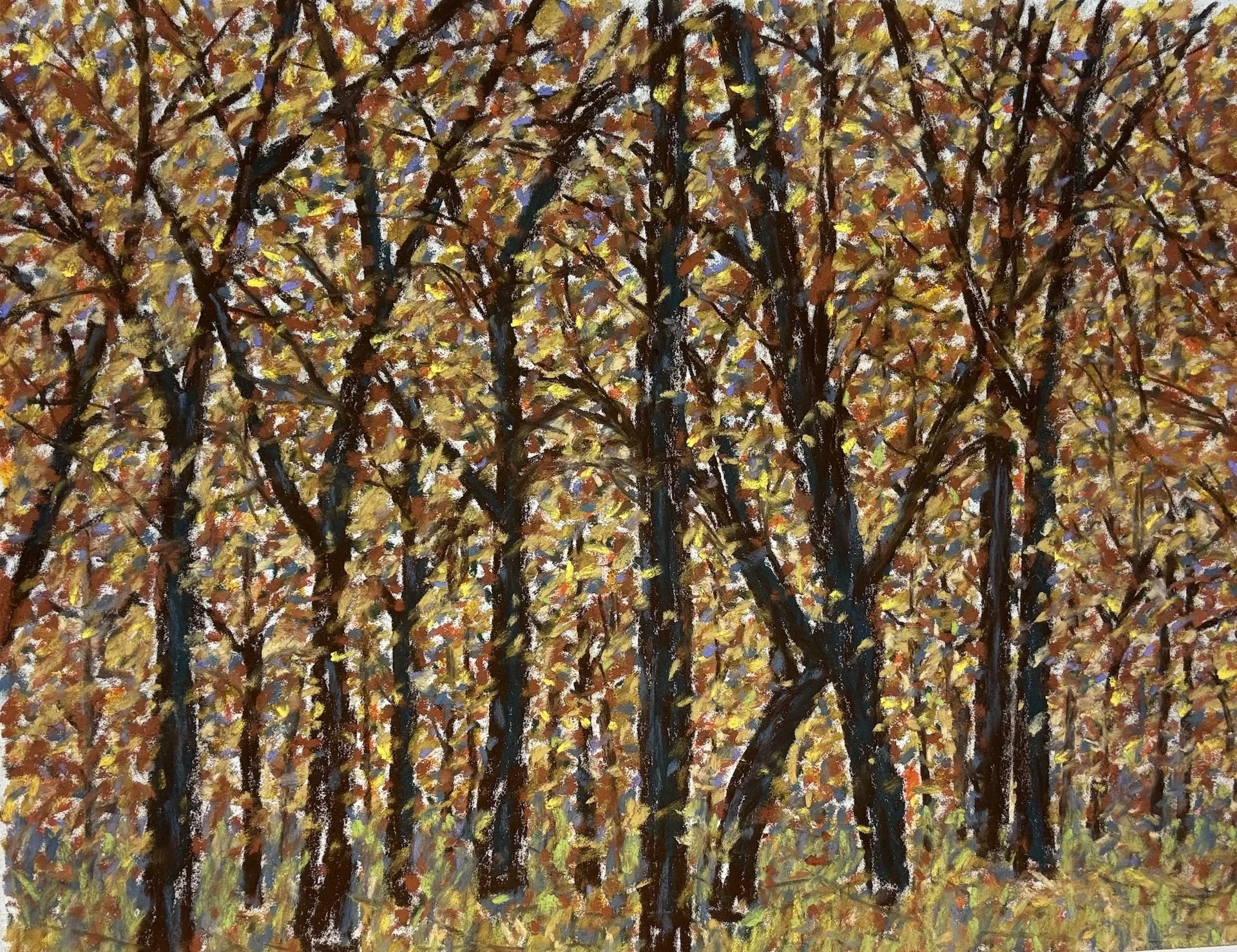 Autumn Trees II, Pastel Board, 16x20