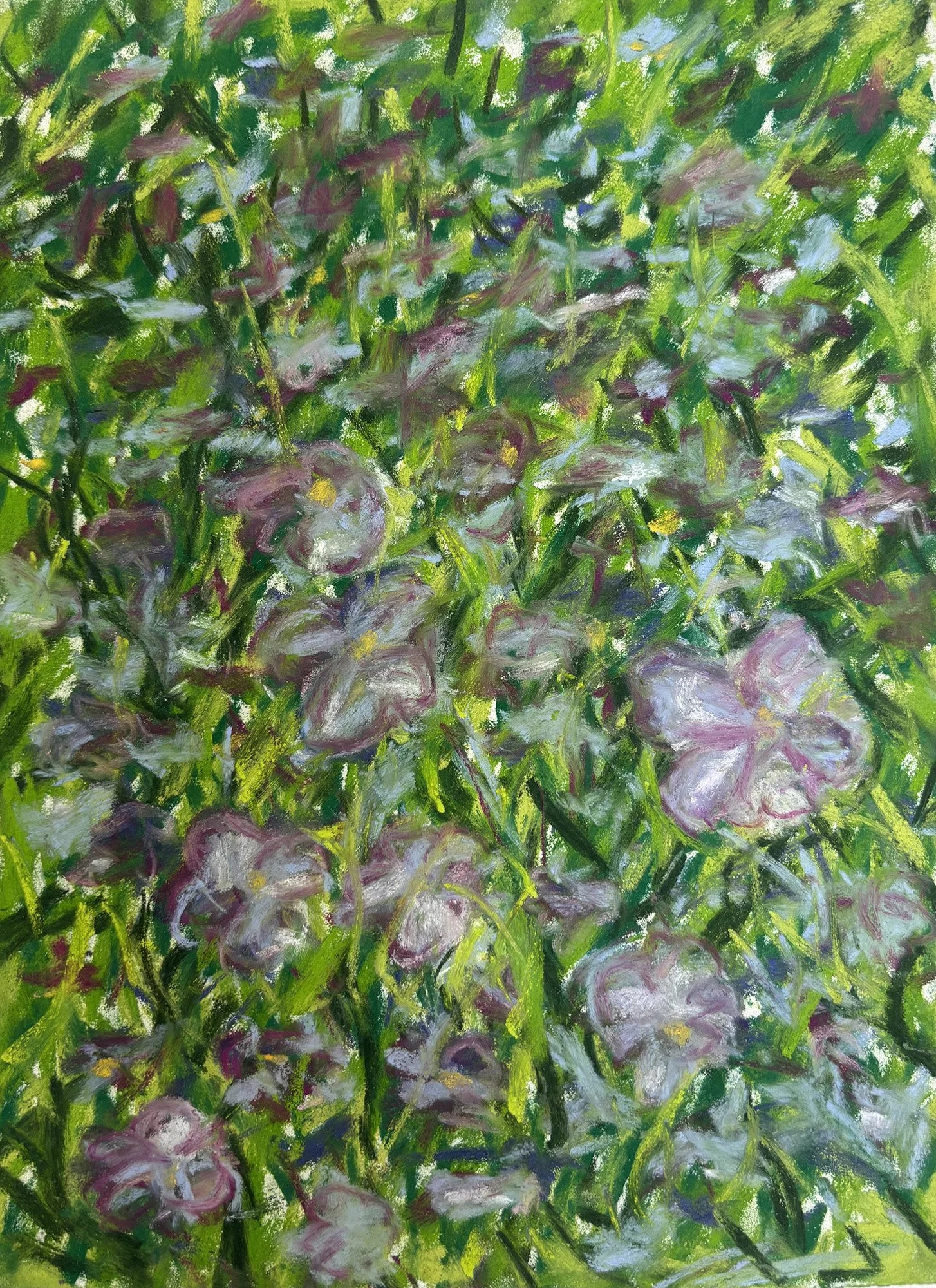 Flowers II, Pastel Board