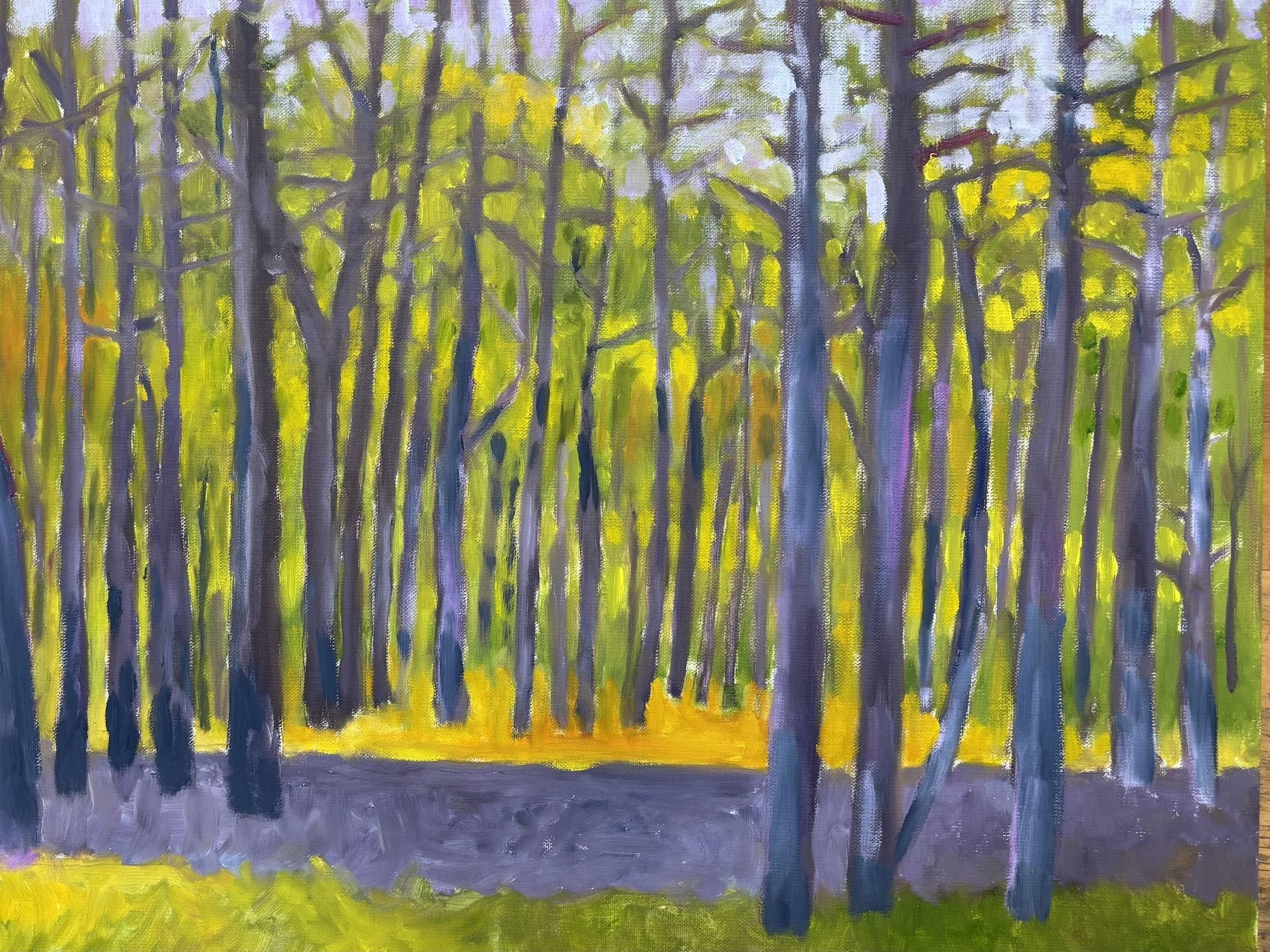 Spring Trees I, Oil on Canvas, 20x16