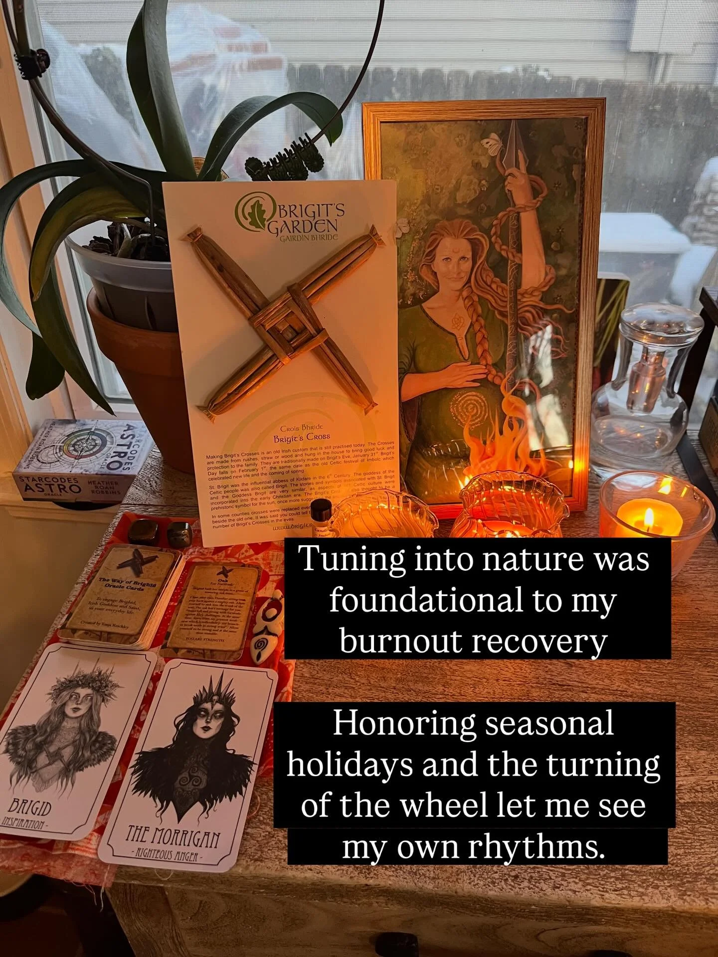 Nature has been my guide through my burnout recovery journey

Celebrating seasonal holidays like Imbolc which happens this week gives me a moment to pause. To reflect on how the seasonal energies are playing out in my life

Imbolc for me brings energ