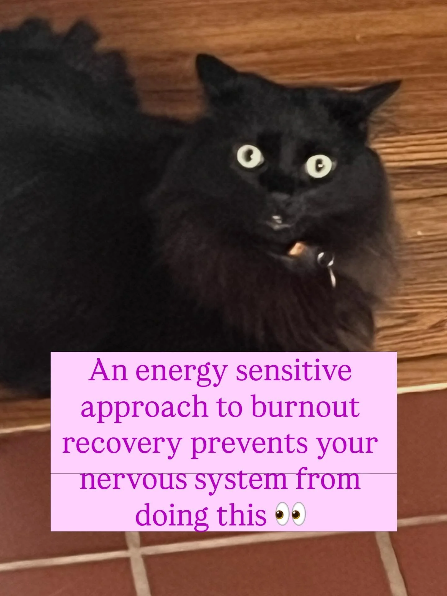 An energy sensitive approach to burnout recovery is critical

All or nothing mindset with a dash of perfectionism can make us try to do too much out the gate. 

We also REALLY want to feel better which may push us to try to do more to feel better fas