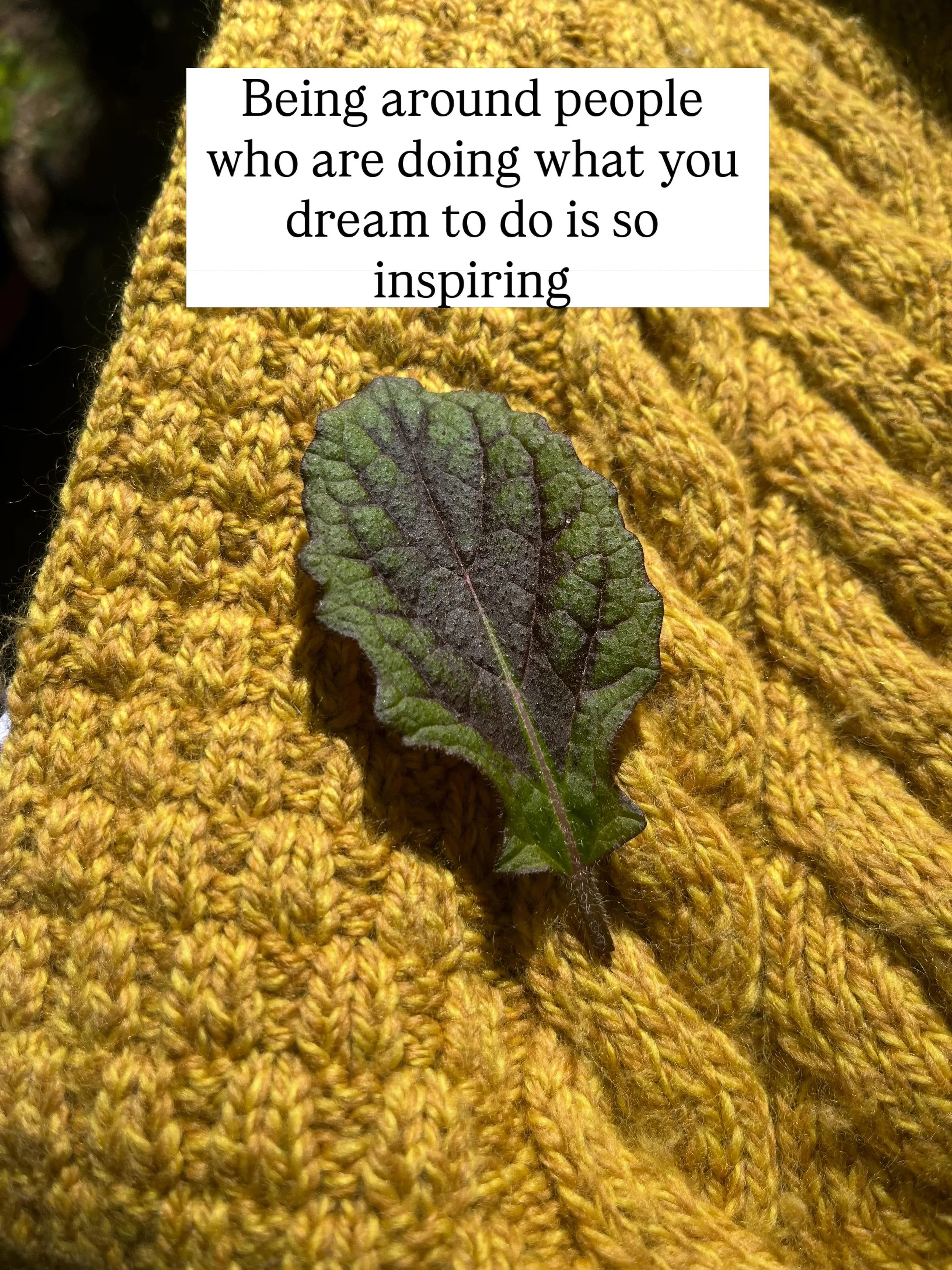 I had such a fun time at the herbal conference last weekend

I gave it to myself for my birthday

Being around herbalists always inspires me as does being around the plants- tasting, smelling, touching

My herbal dreams are becoming more clear and I 