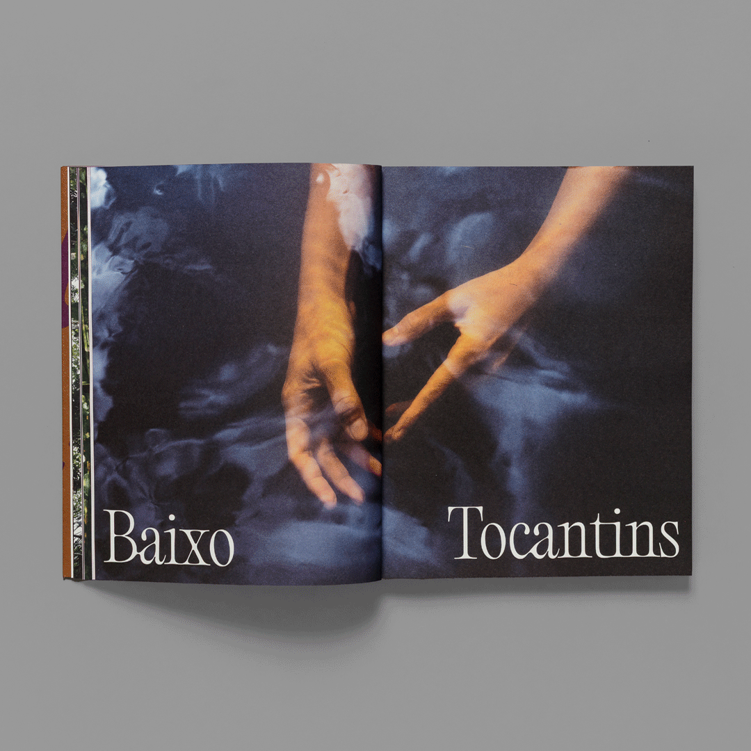 Floresta na Boca: Amazônia