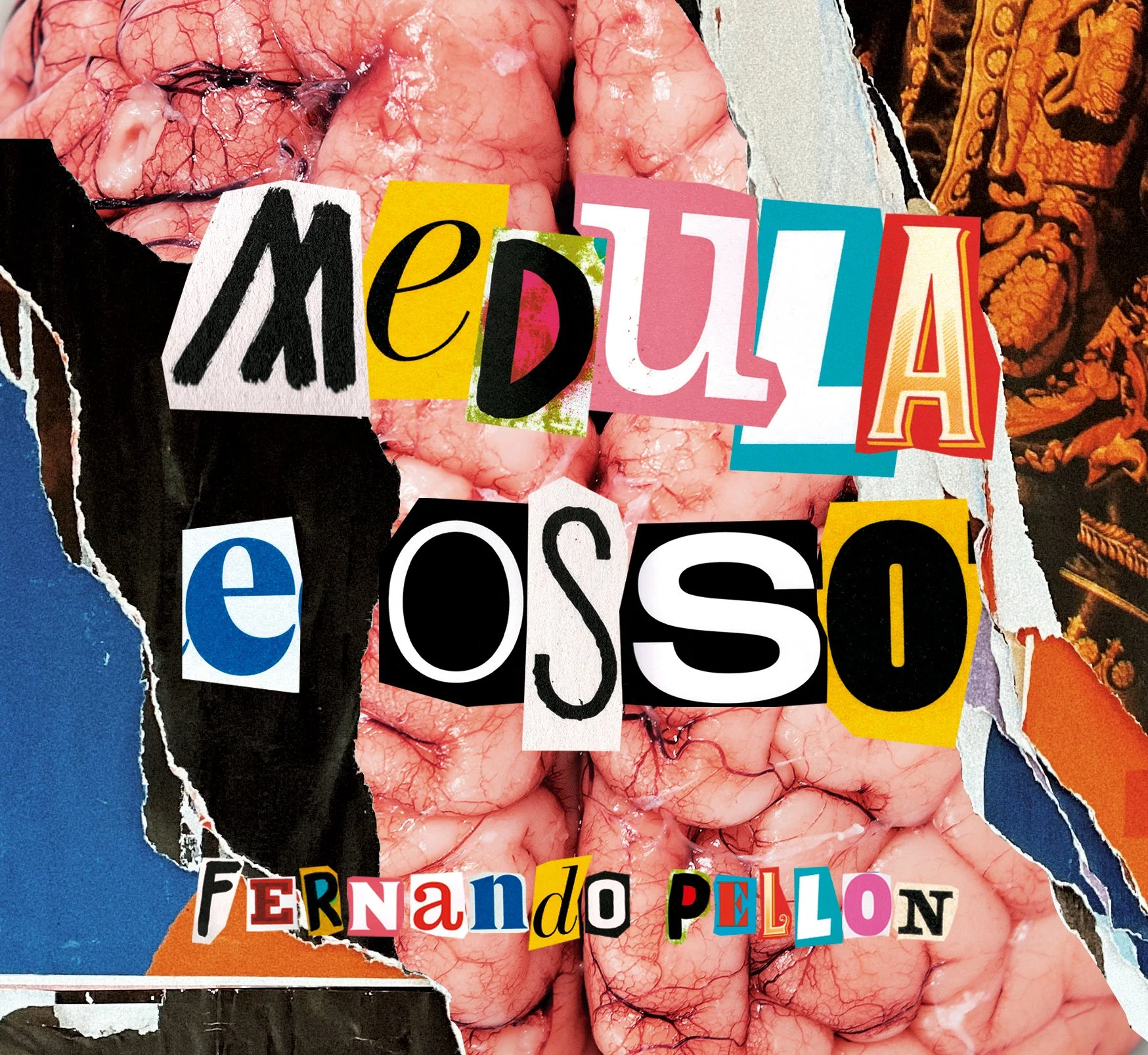 Medula e Osso - Fernando Pellon