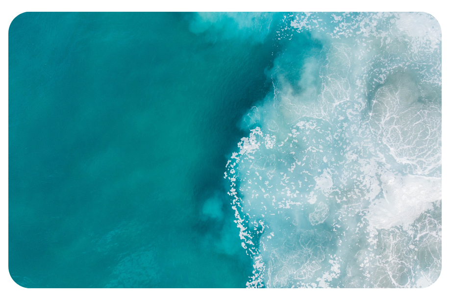 The new science of customer emotions.