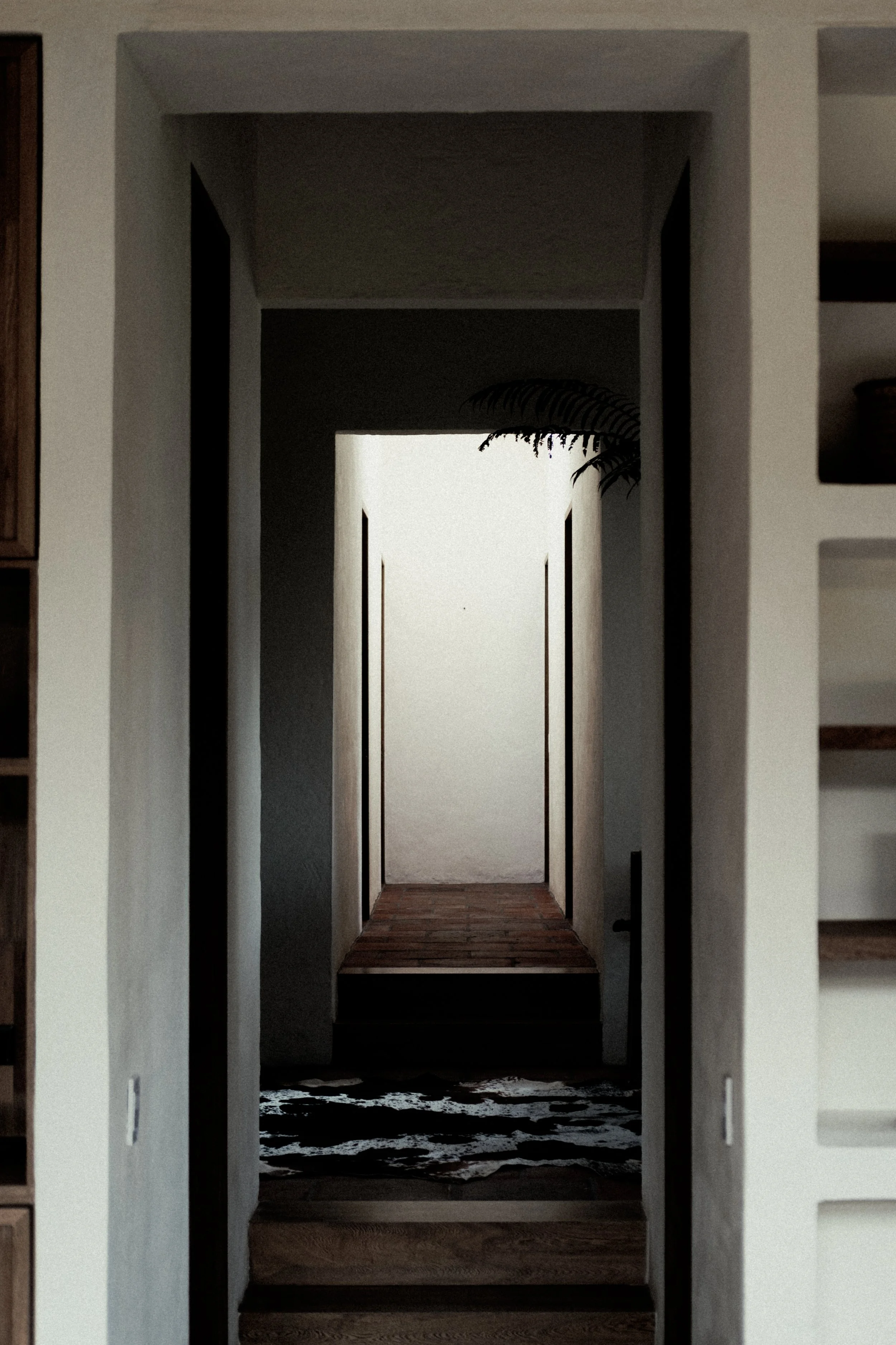 DSCF9255.jpg