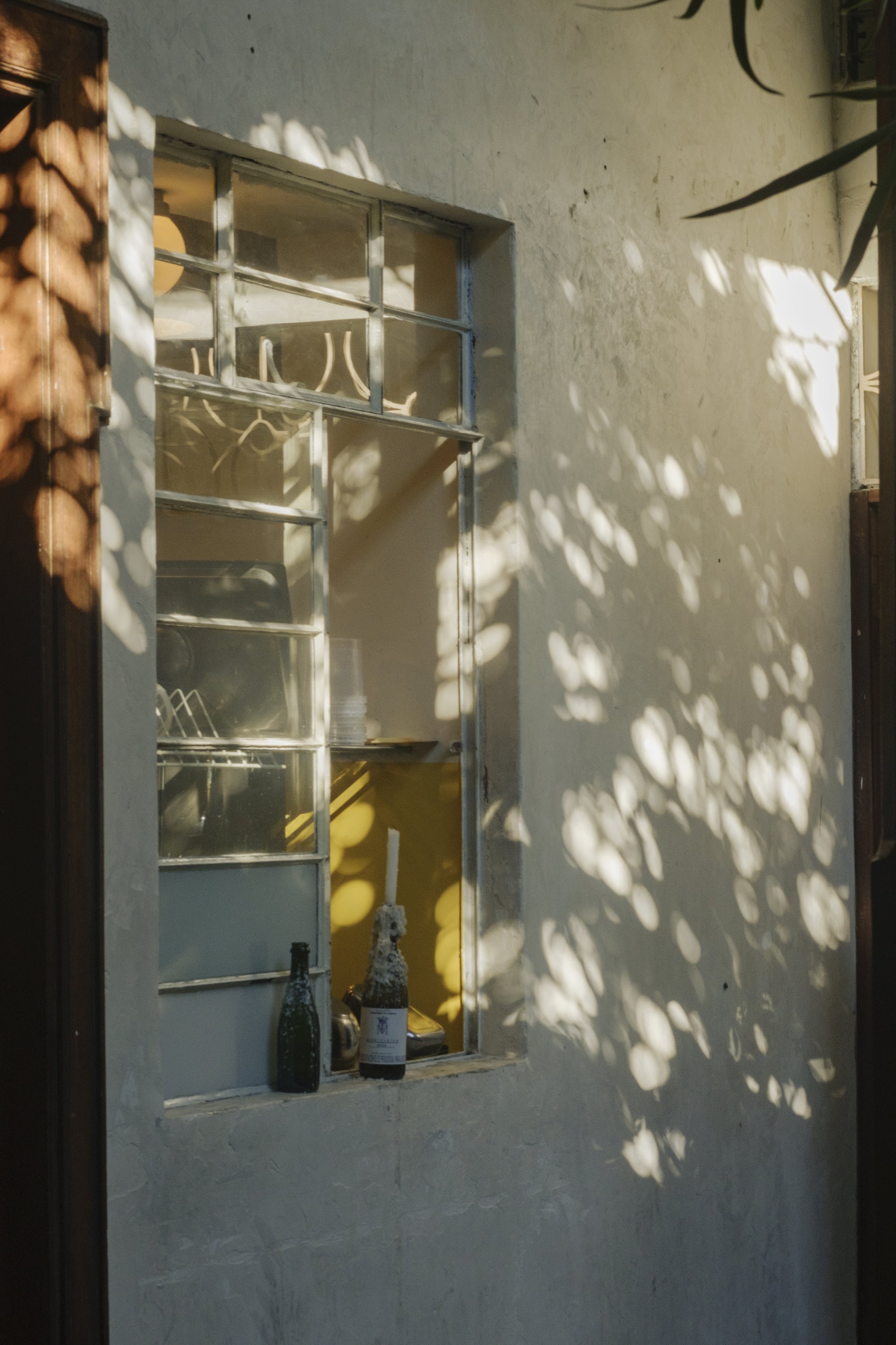DSCF6862.jpg