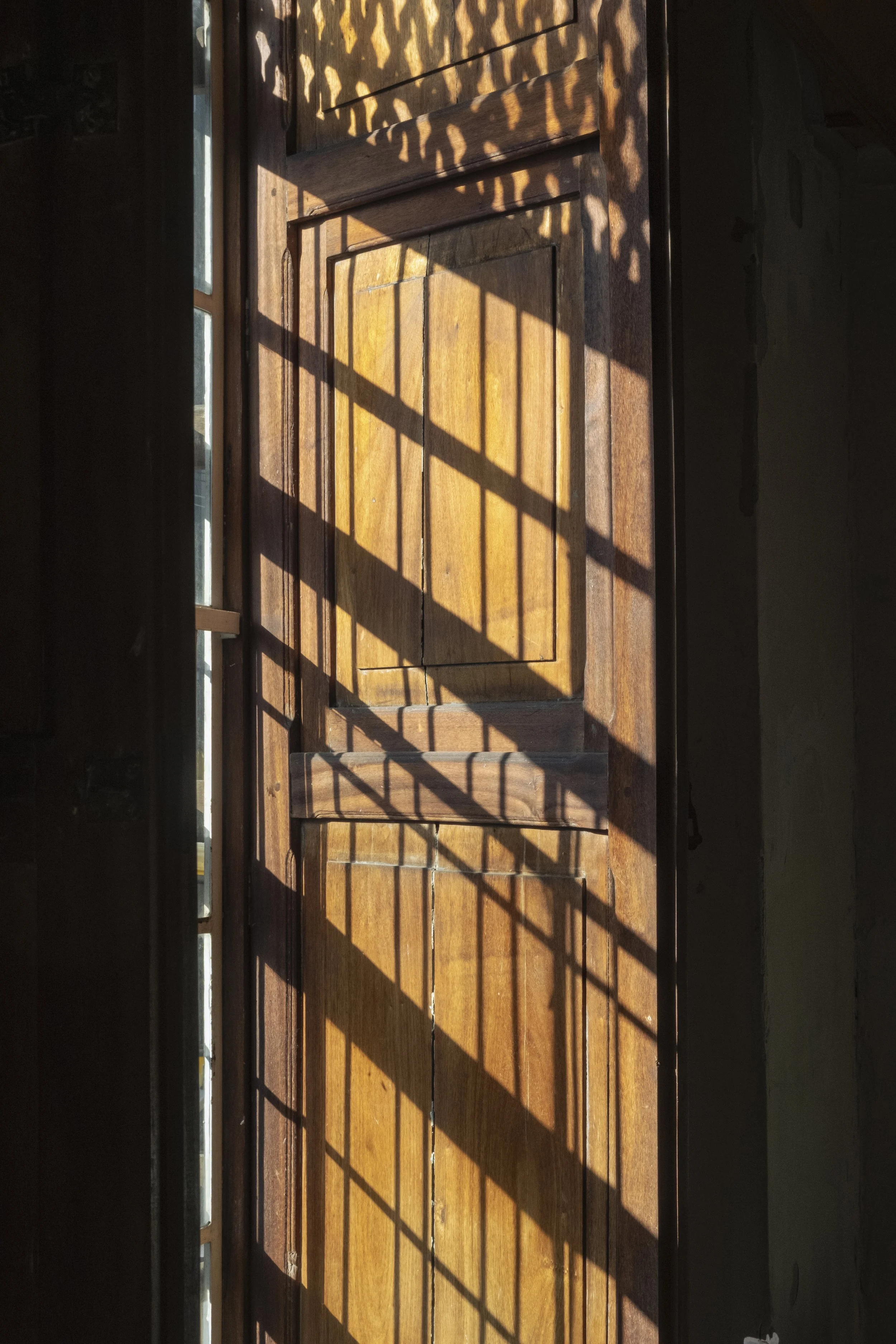 DSCF6914.jpg