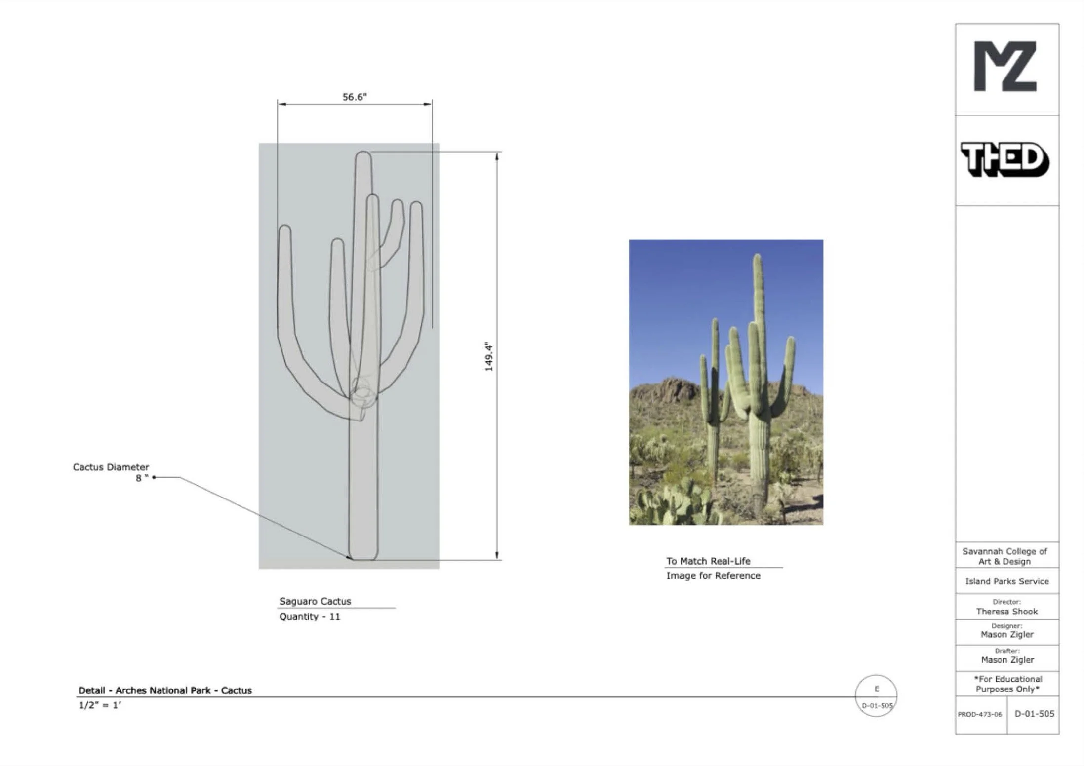 cactusarches.jpg