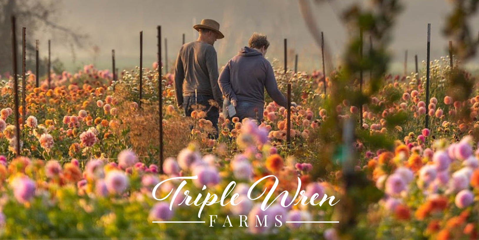 Triple Wren Farm