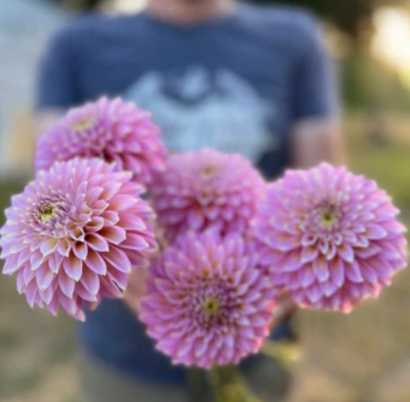 Screenshot 2025-12-16 175556.png