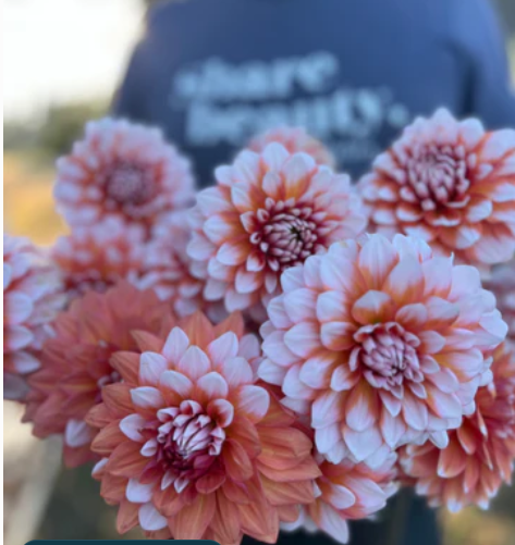 Screenshot 2025-12-16 175529.png