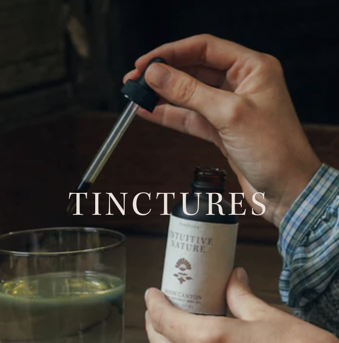 Screenshot 2025-12-22 at 11.12.22 AM.png