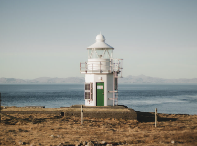 Accidentally Wes Anderson