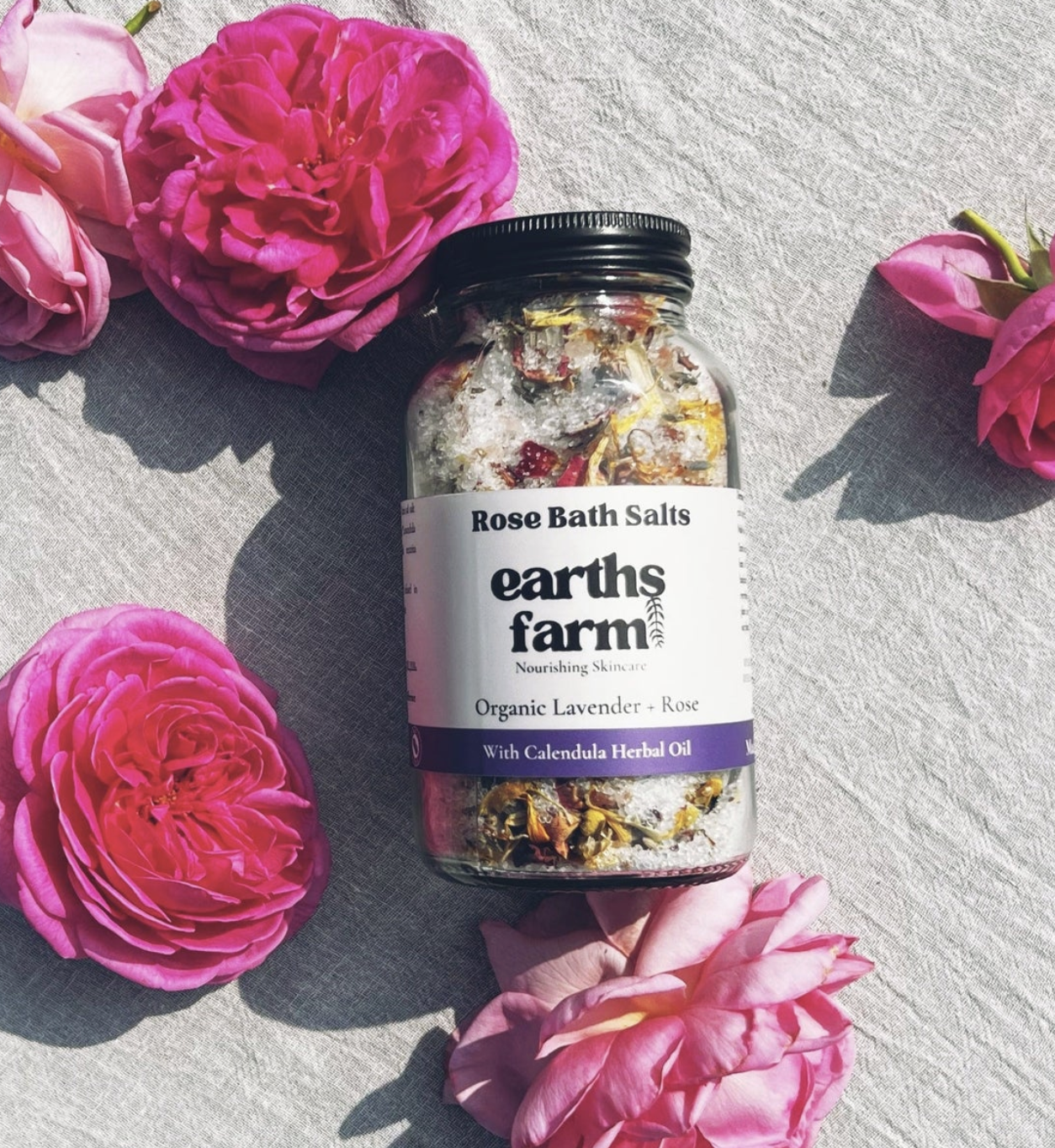 Screenshot 2026-02-04 at 11.24.24 AM.png