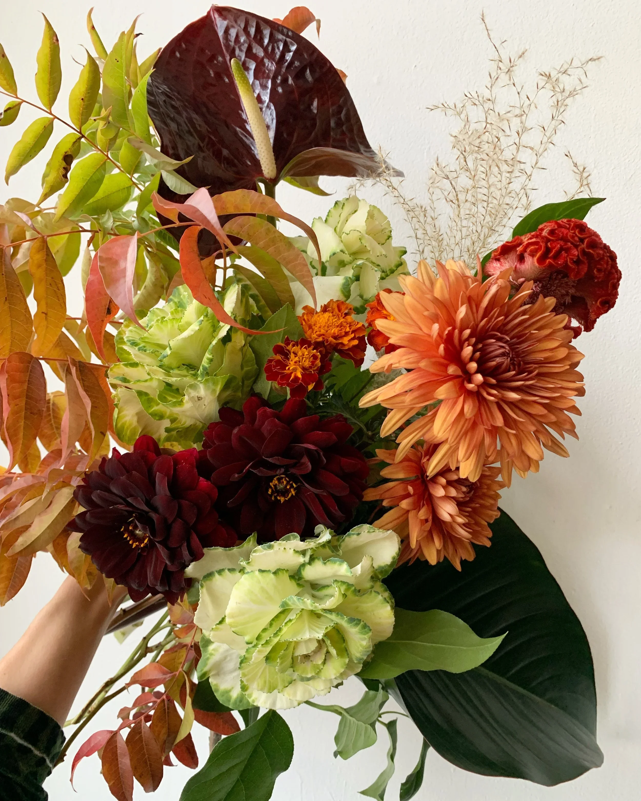 Exfolia_Shop19.webp