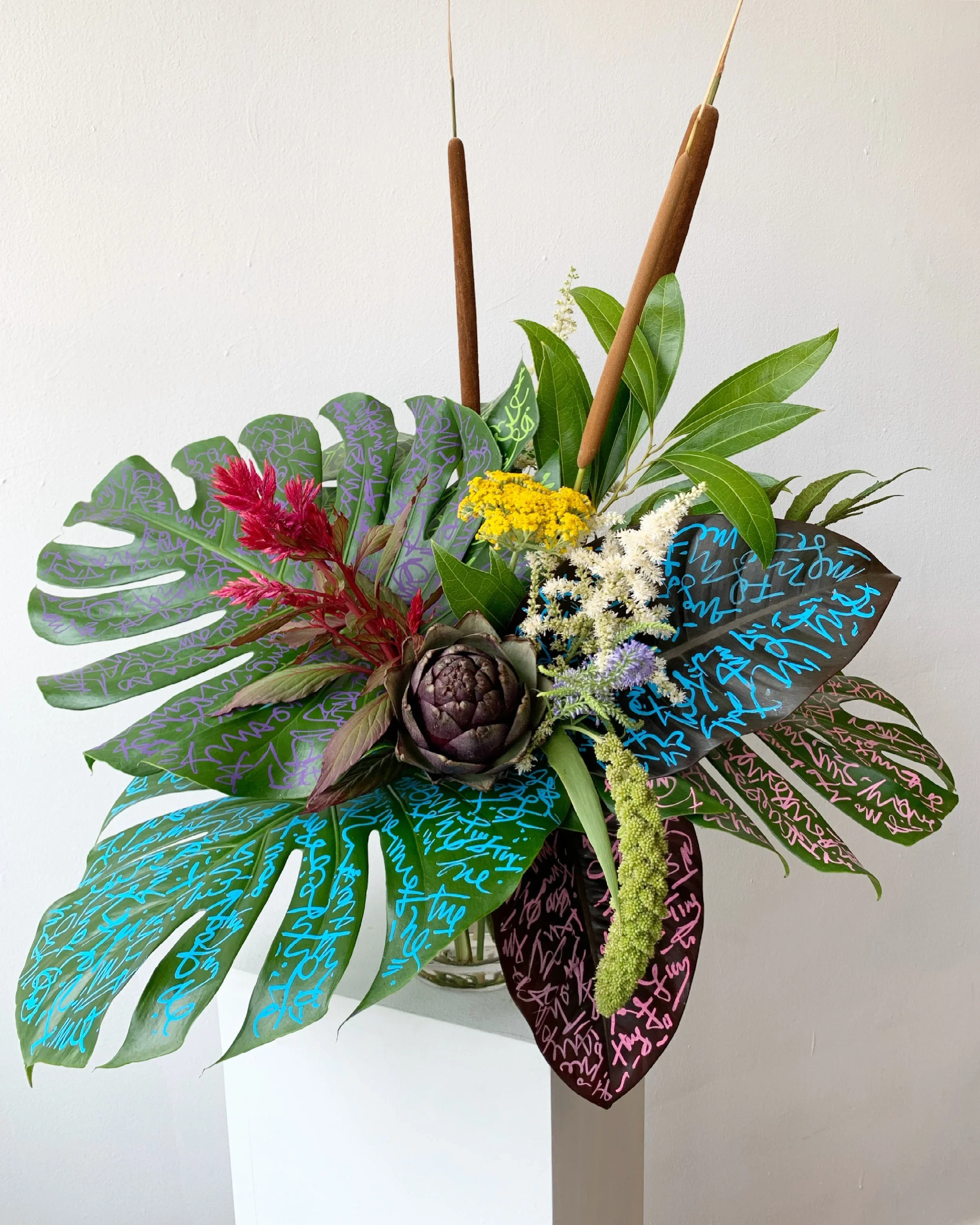 Exfolia_Shop27.webp