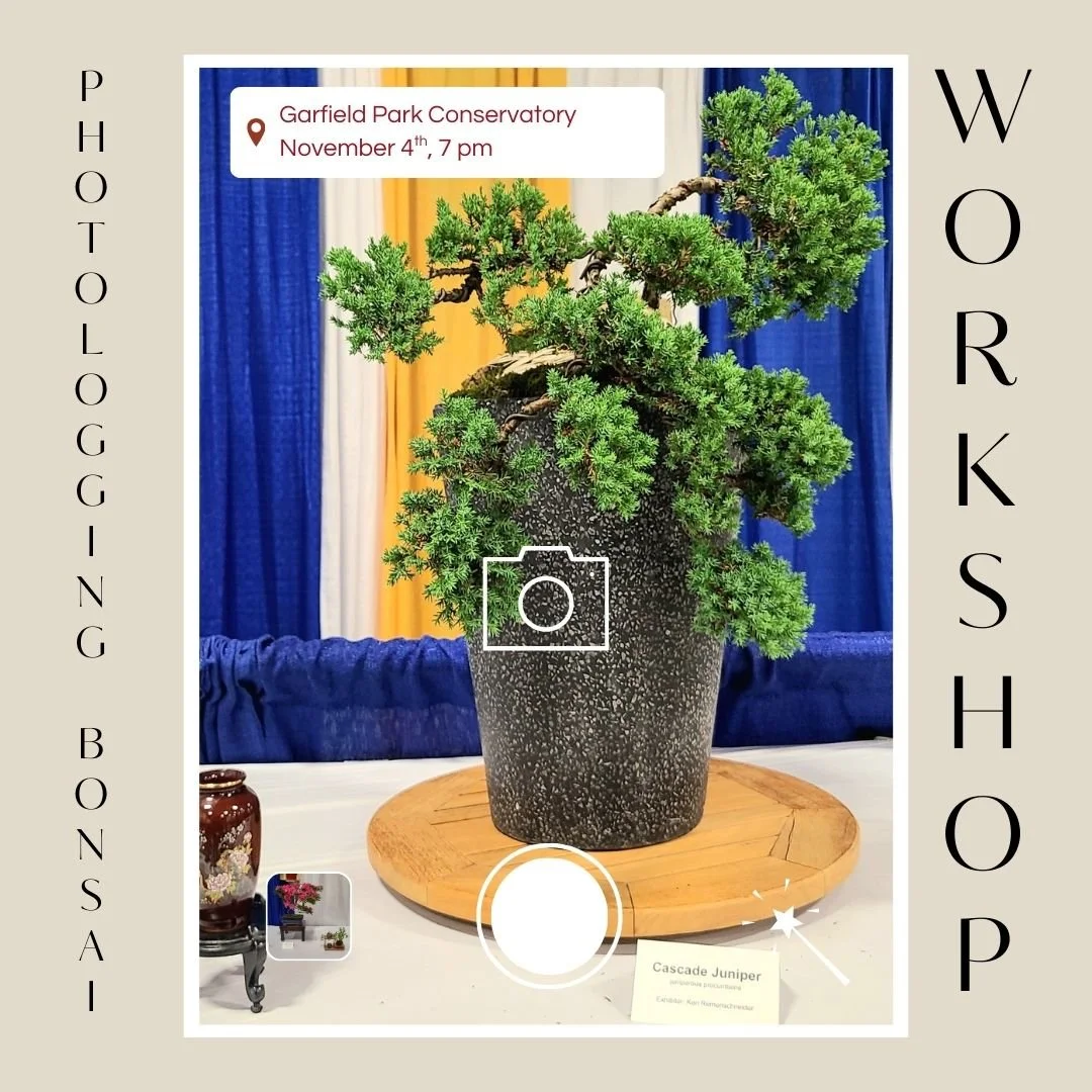 Calendar  Indianapolis Bonsai Club