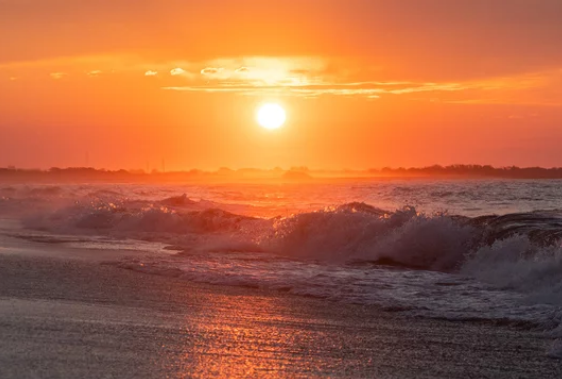 Savor the Last Days of Summer