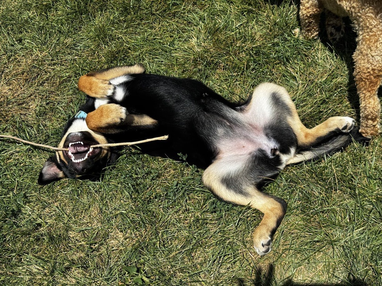 Being Soft is Not a Weakness