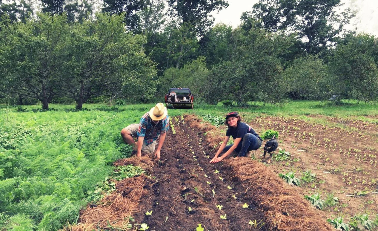 Dan Kittredge ~ Nutrient Dense Food Production