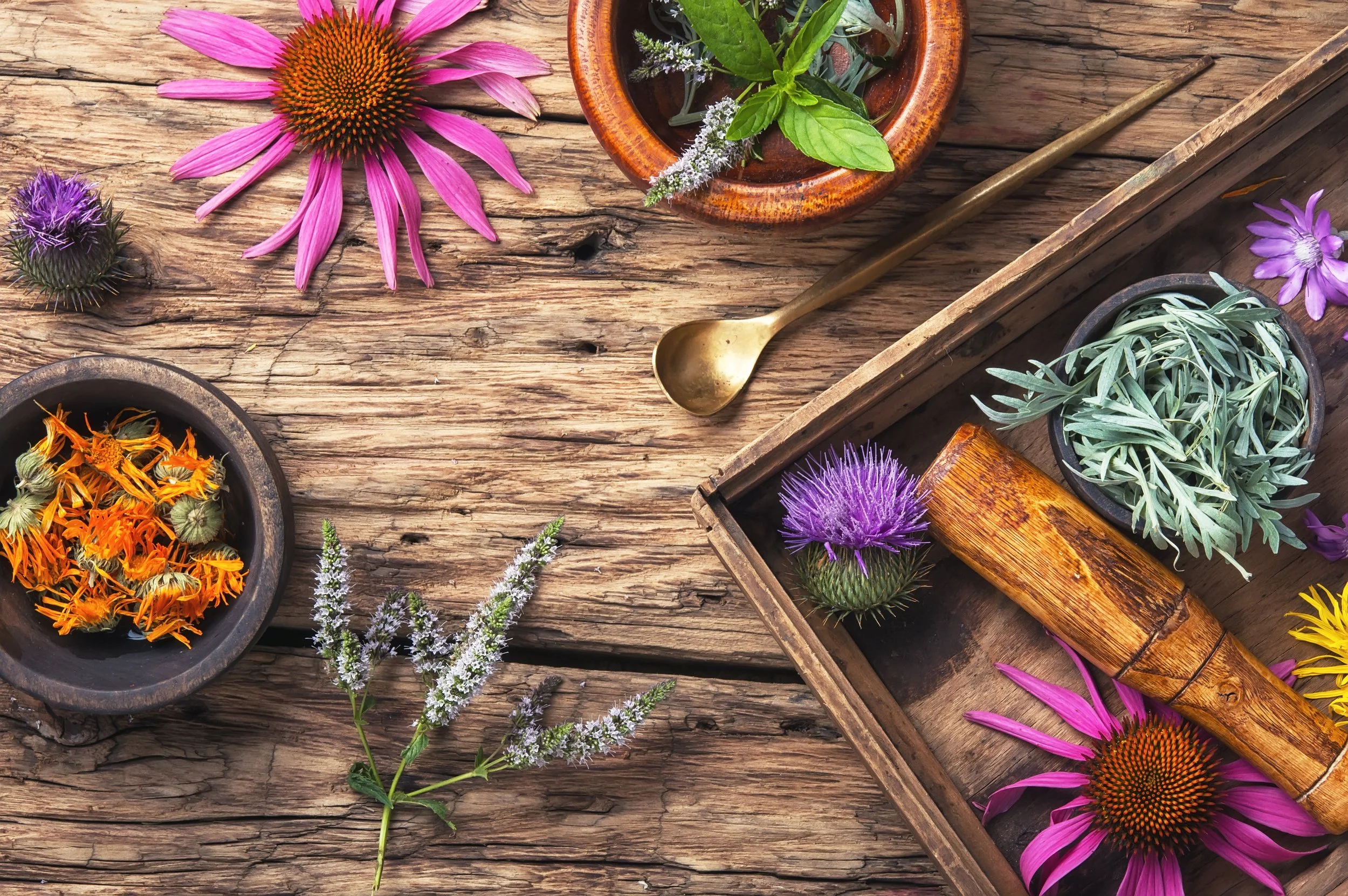 AdobeStock_164206320.jpeg