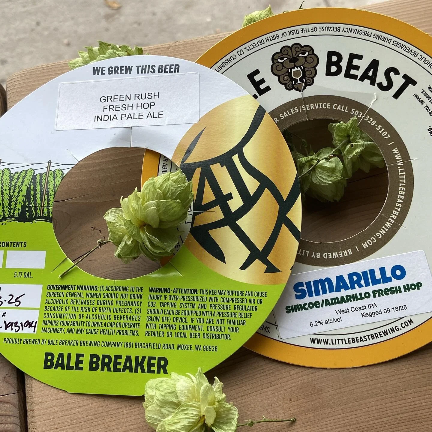 Still fully loaded with fresh hop beer!