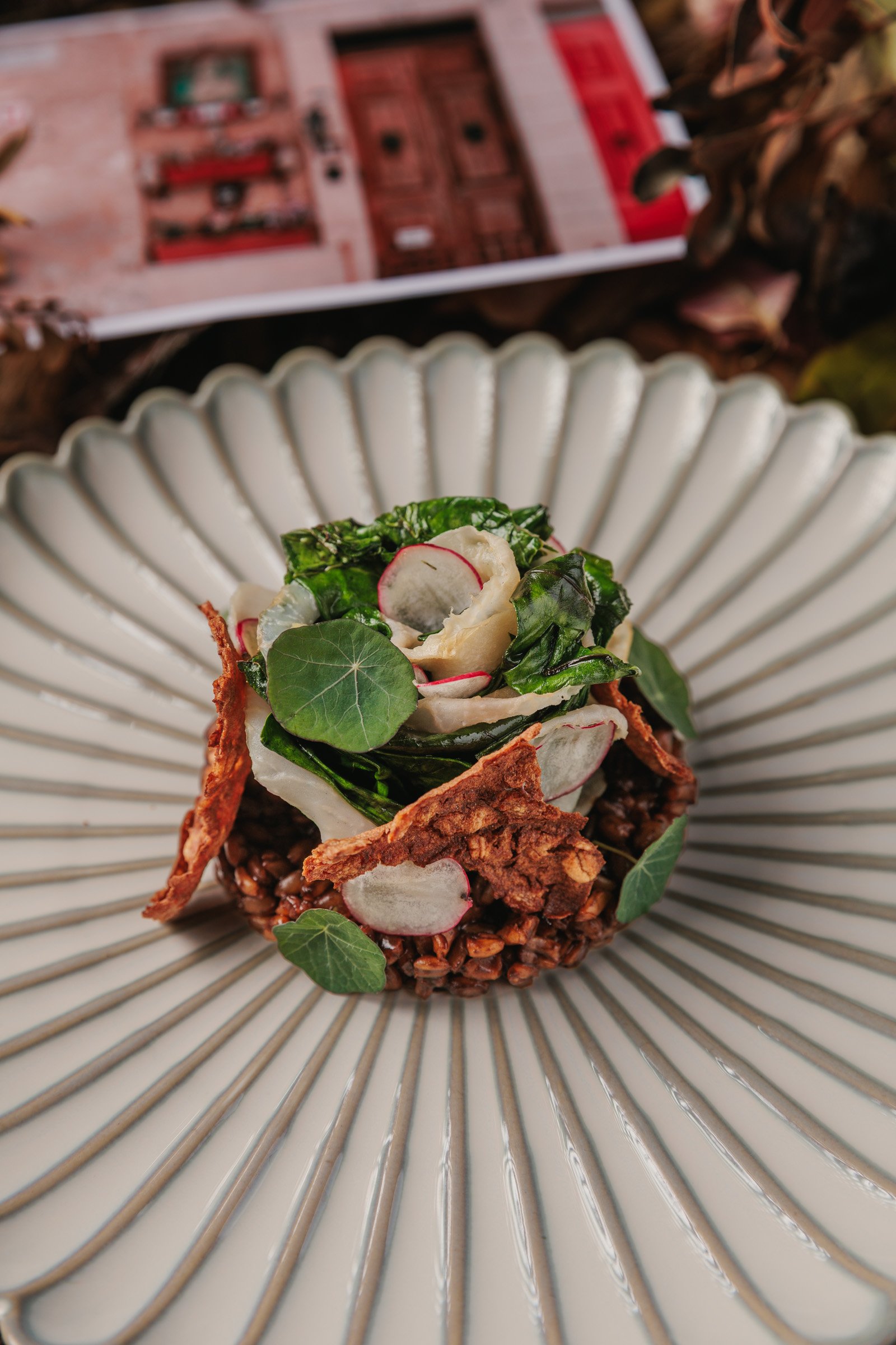 St. Paul Street - Kohlrabi - TLP853-00197.jpg