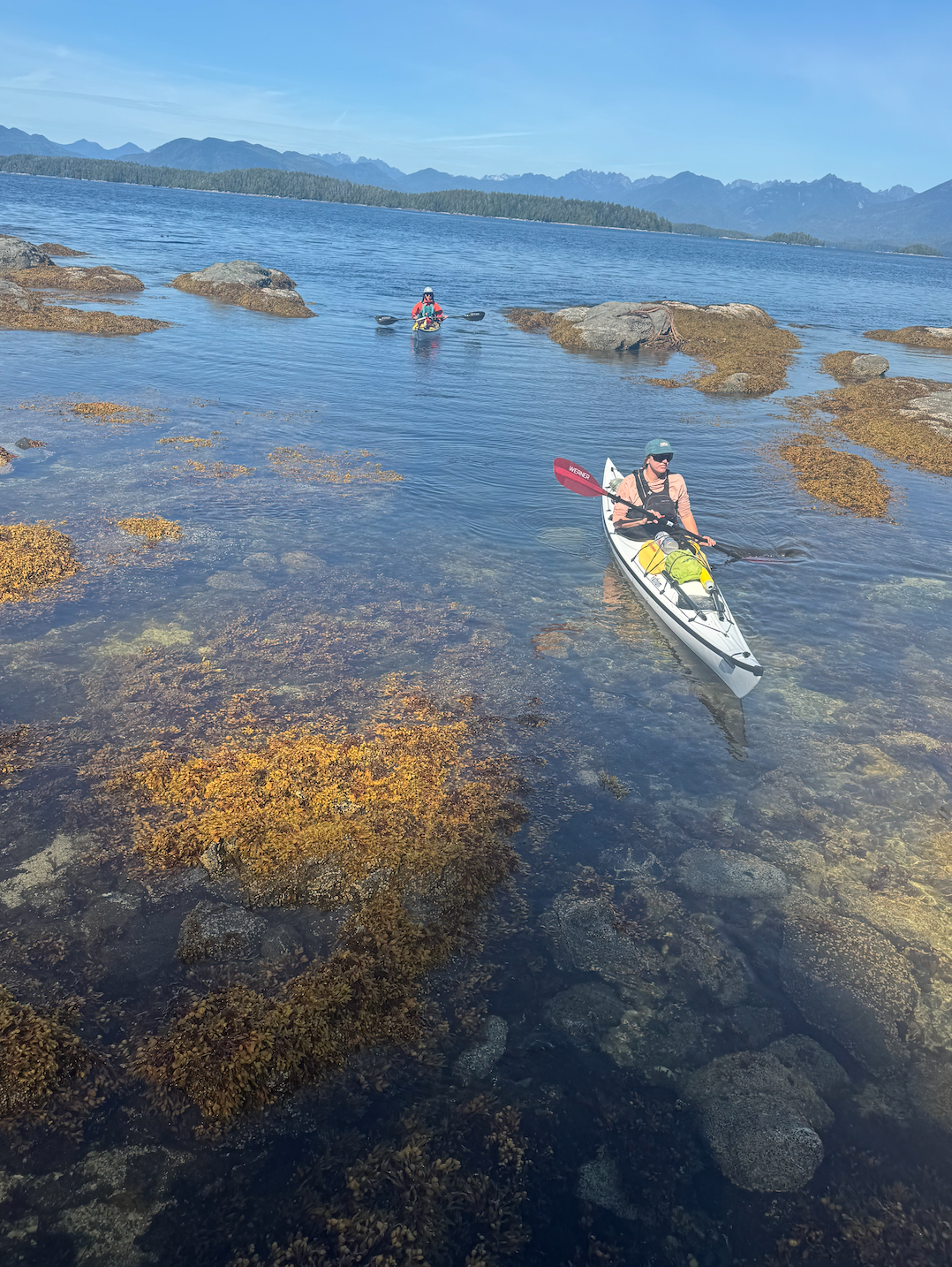 Two kayakers paddle between the seaweed covered rocks on the backside of Effingham in the Broken Islands