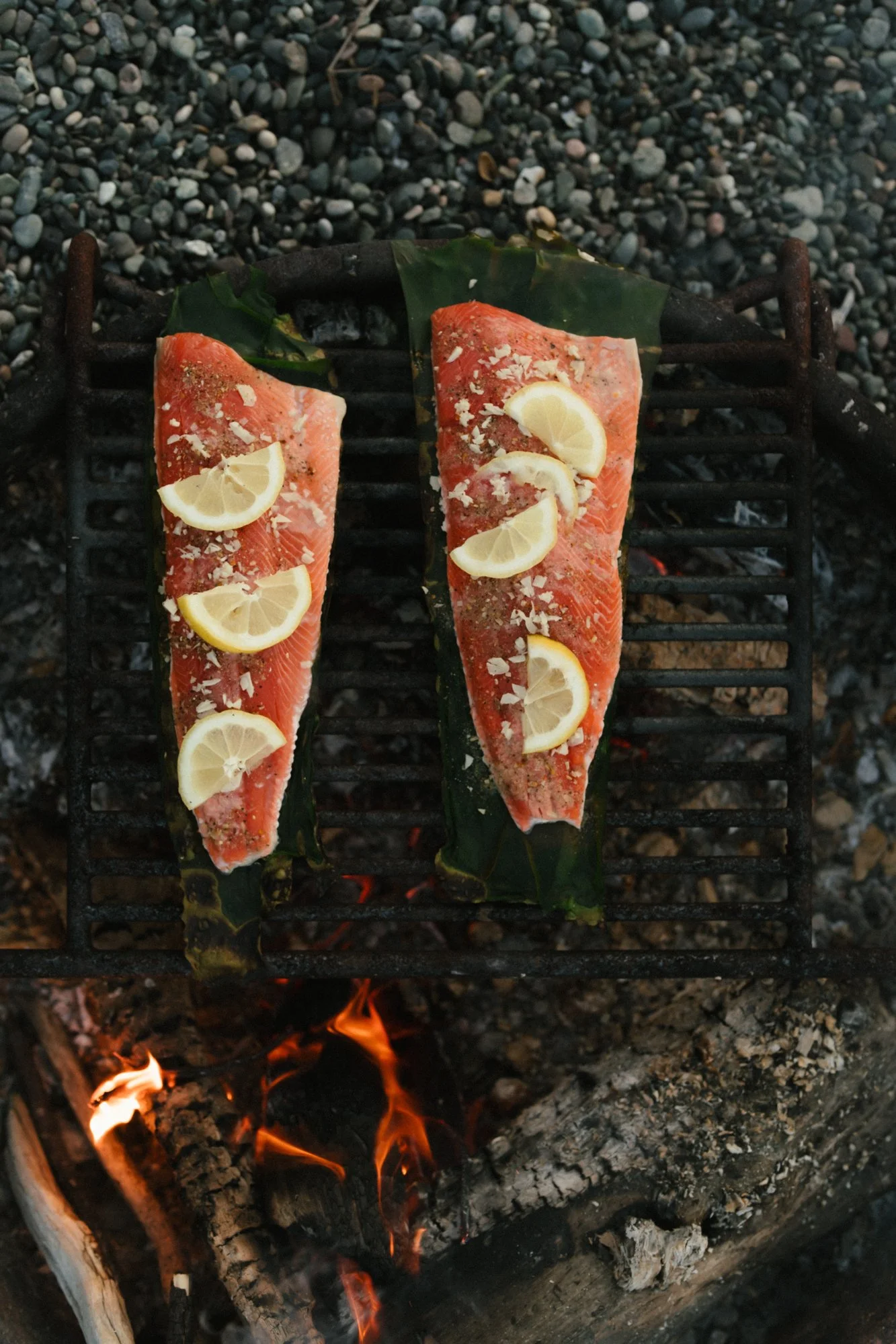 Two salmon fillets resting on bull kelp with lemon slices grilling over an open fire on a grate.