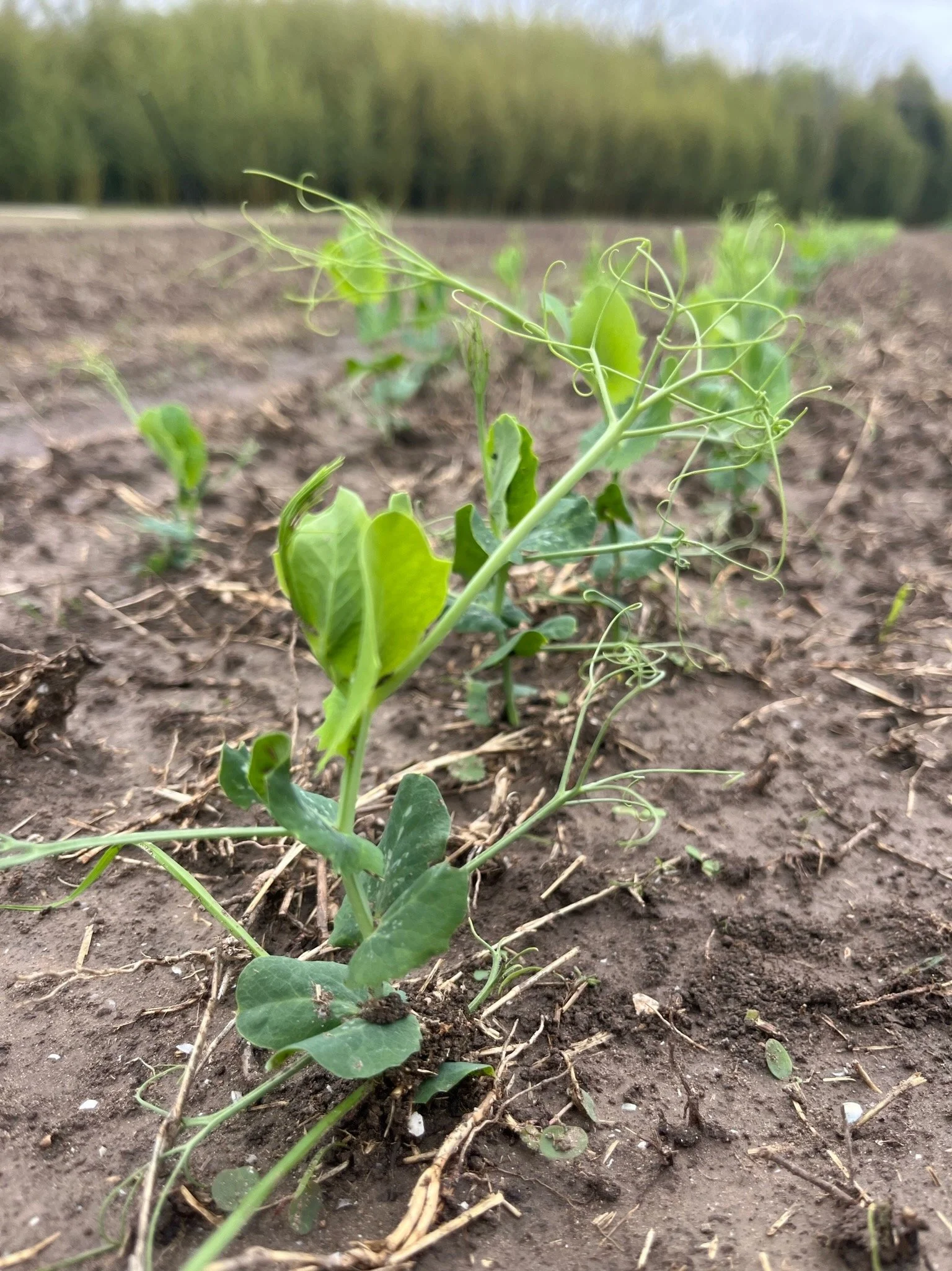 Making time for the family