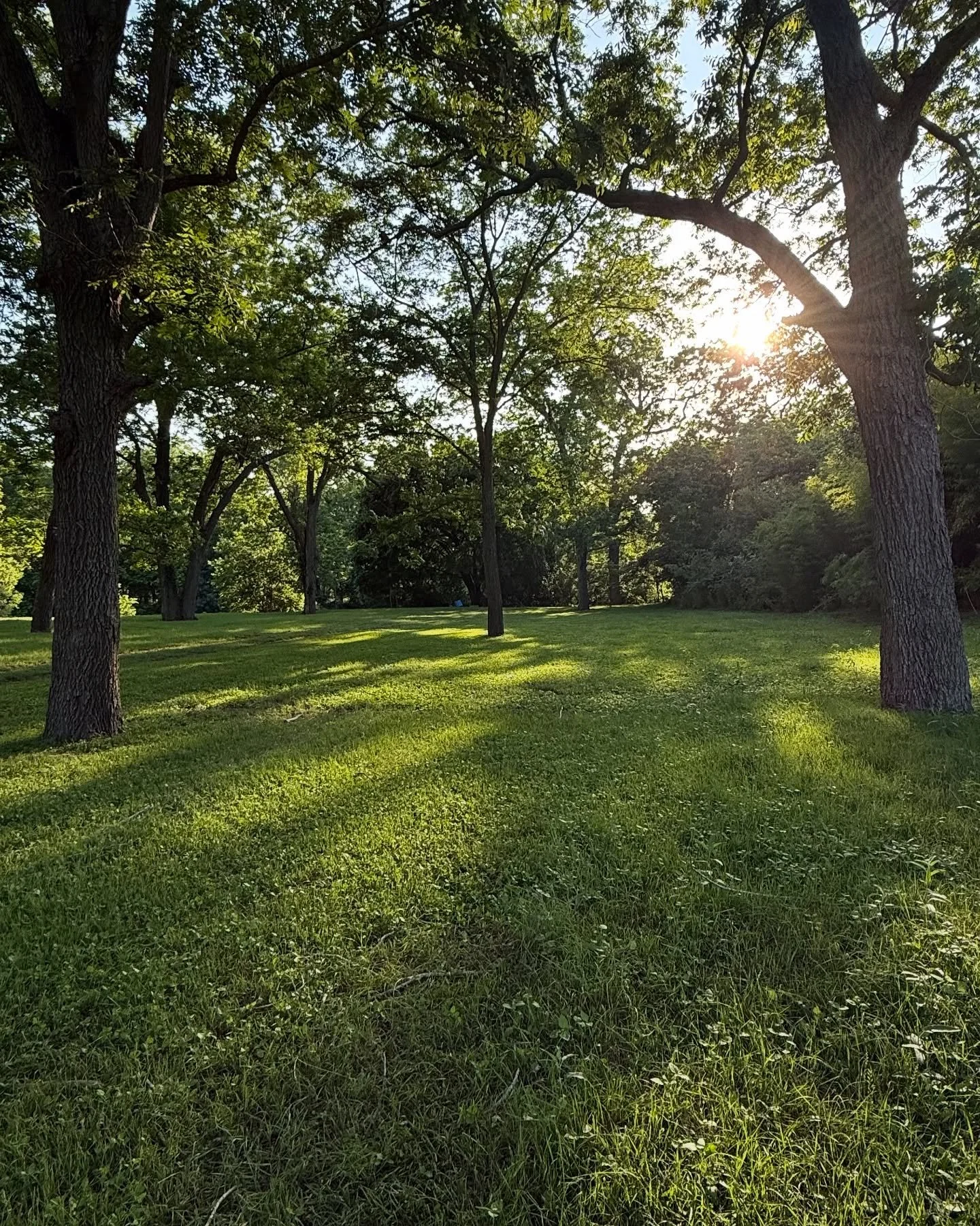 The Hipcamp area down by the river is looking so pretty with the pecan trees grove leafing out and the grass greening up ☀️