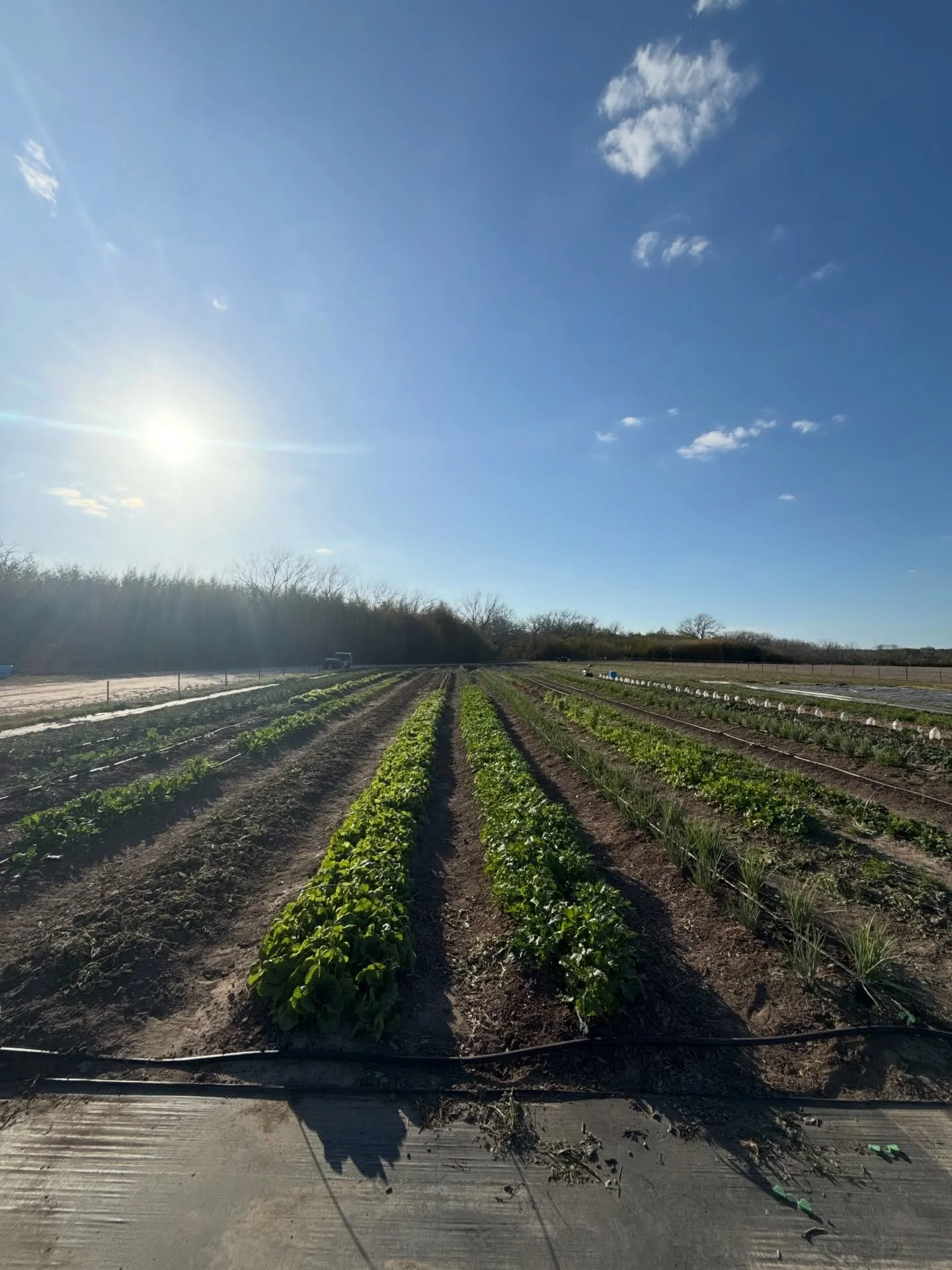 Happy National Ag Day 🌱 🚜