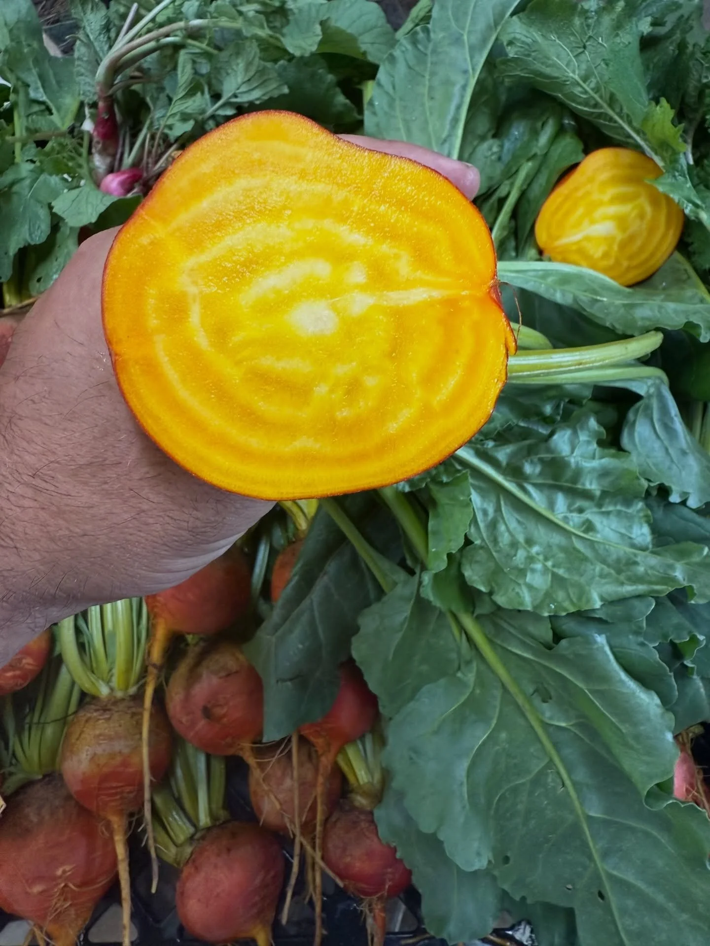 See y&rsquo;all in New Braunfels tomorrow at the farmers market from 9-1