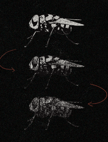 Screen Shot 2025-01-22 at 9.05.36 AM.png