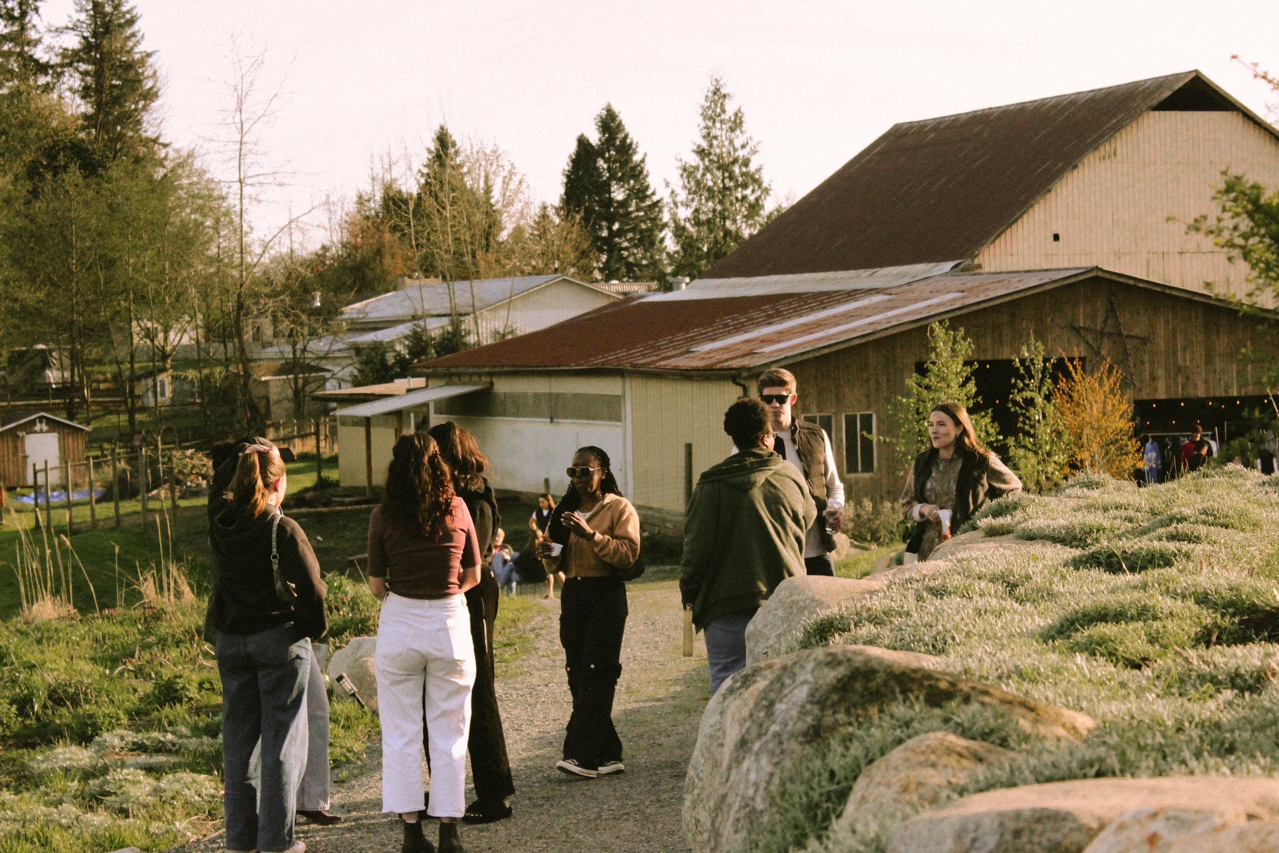 IMG_7526 3.37.18 PM.jpg