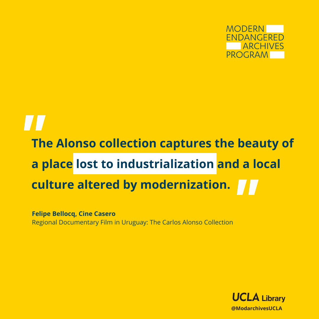 MEAP  Twitter  Community Profile  Uruguay Film Collection.png