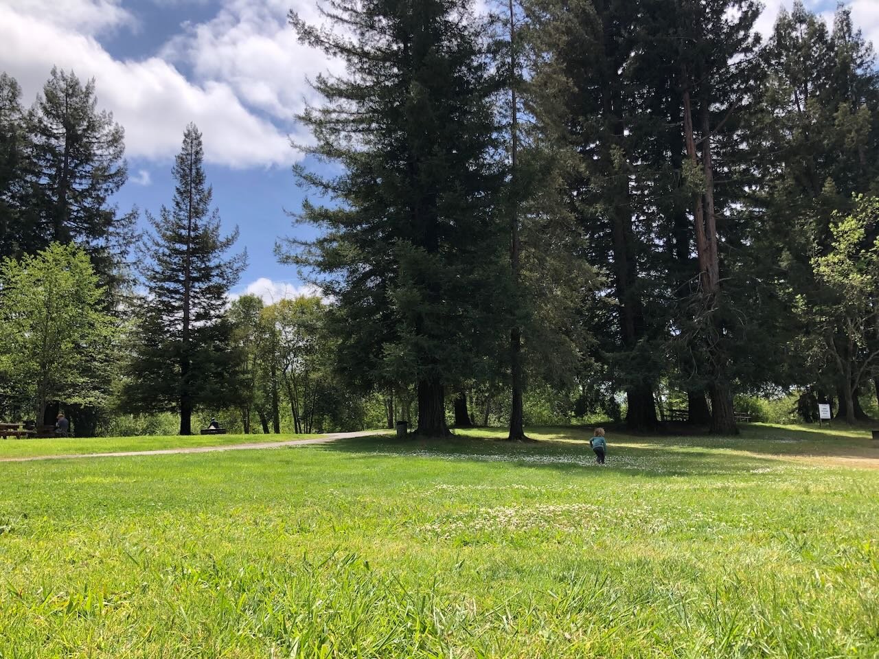 Heart Free as a Wild Deer: Meditation & Somatic Practice Retreat