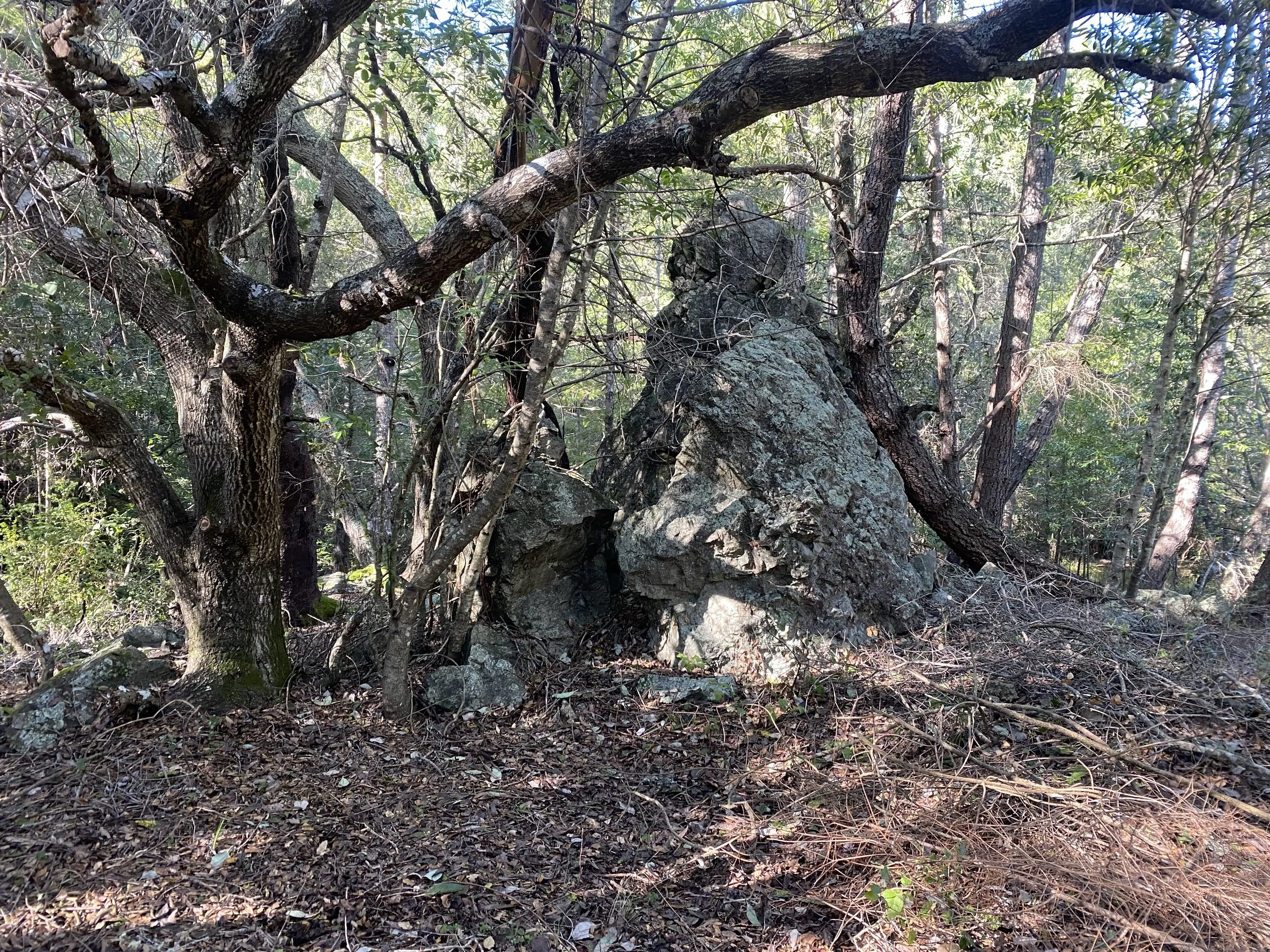 How to Overcome Fear: The Buddha’s Exposure Therapy