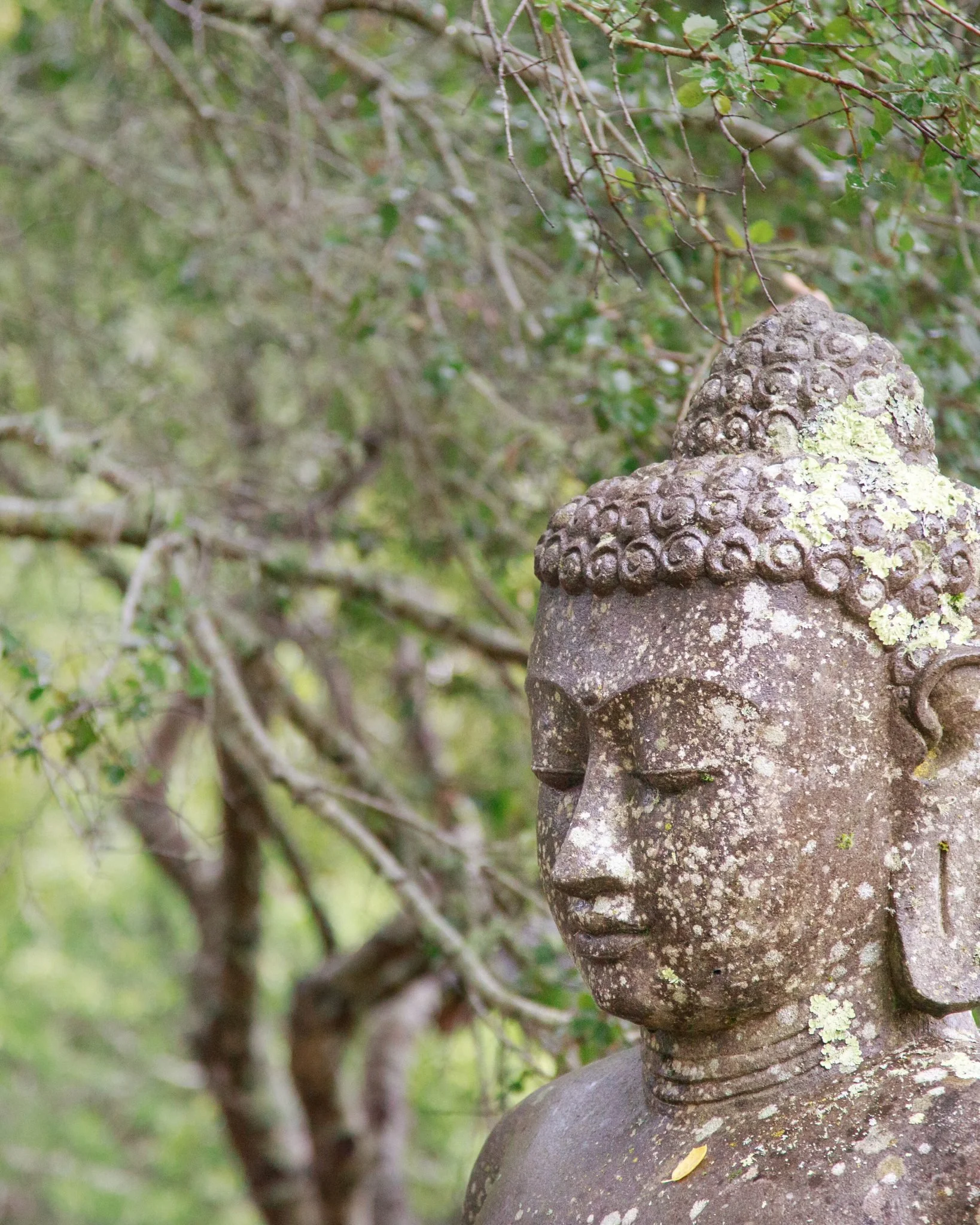 The Last Days of the Buddha: The Mahāparinibbāna Sutta