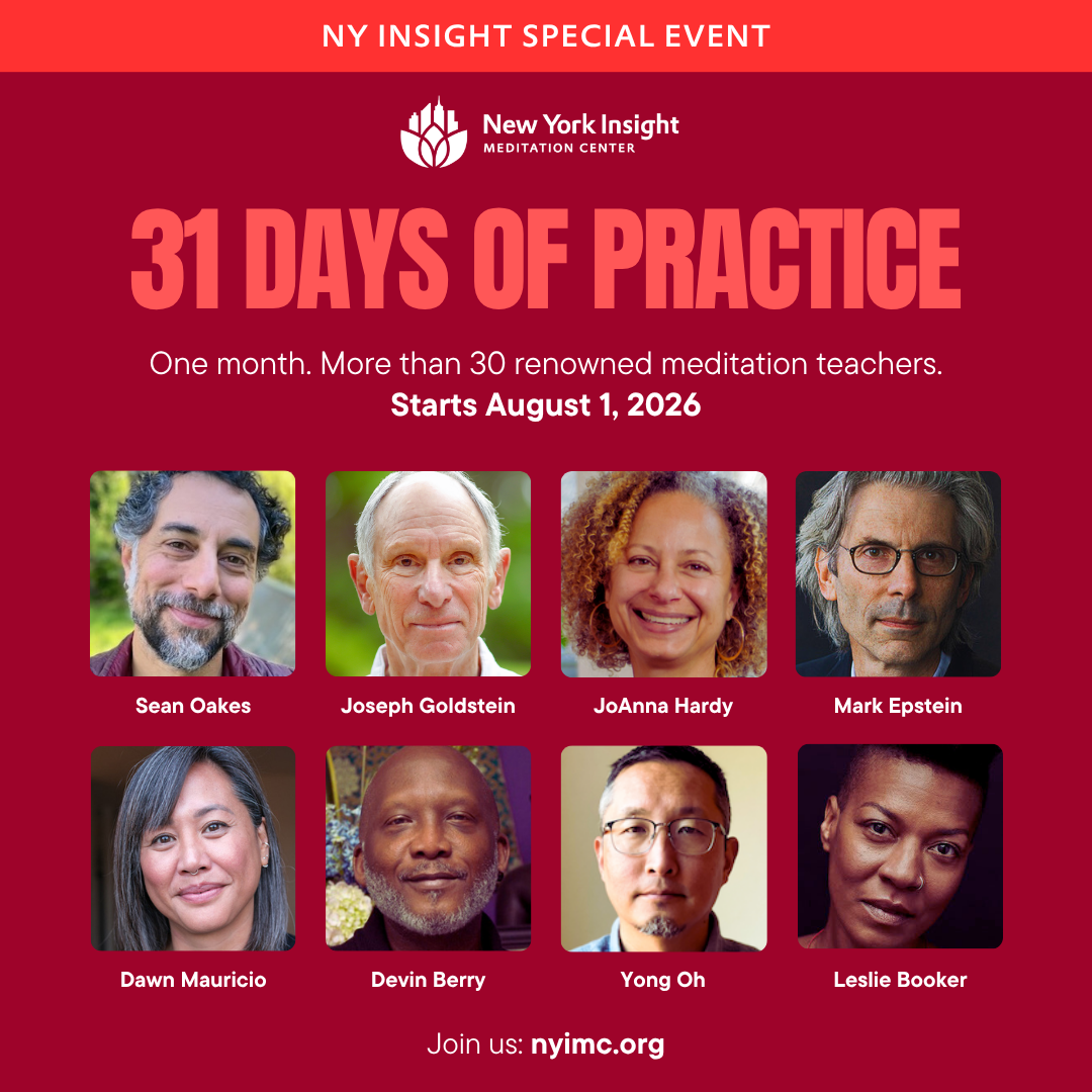 31 Days of Practice with New York Insight