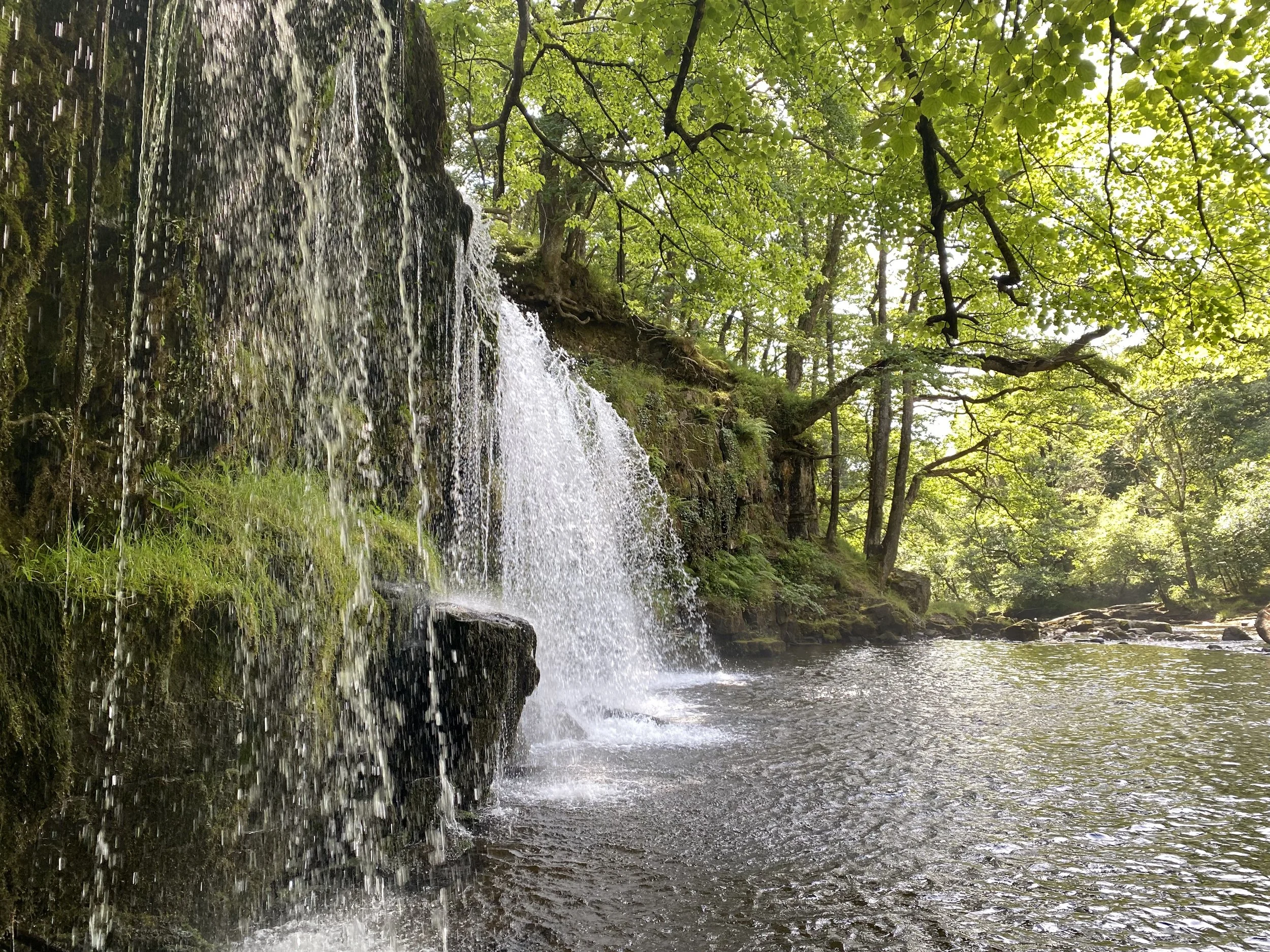 Dāna as Social Action: Discourses on Material and Spiritual Giving