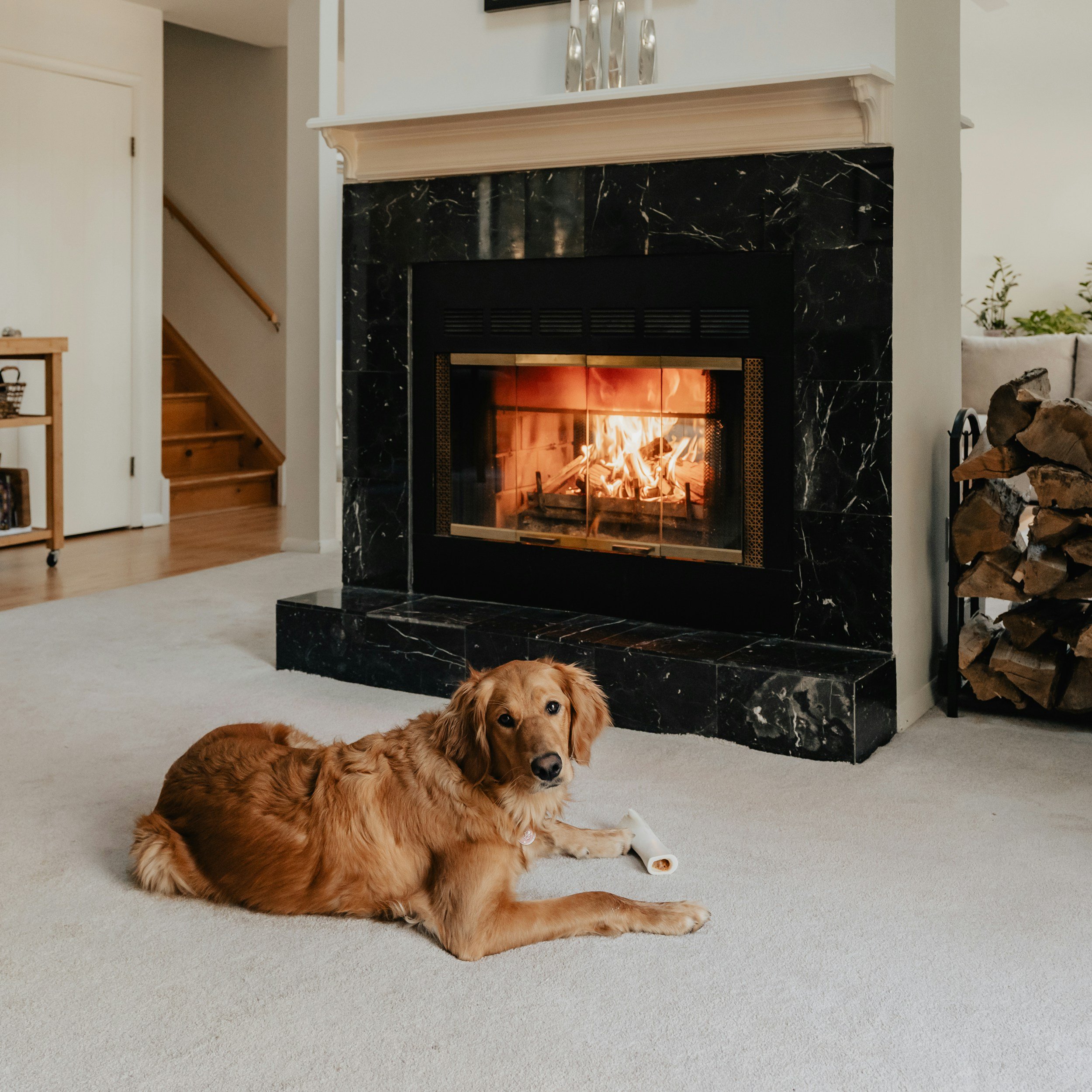 A golden retriever dog is lying on a beige carpet in front of a fireplace with a burning fire. There is a rolled paper toy near the dog. The room has a black marble fireplace surround, a white mantel, and a wood-burning fire. On the right side, there is a log holder with stacked firewood. Part of a staircase and a wooden cart are visible in the background.