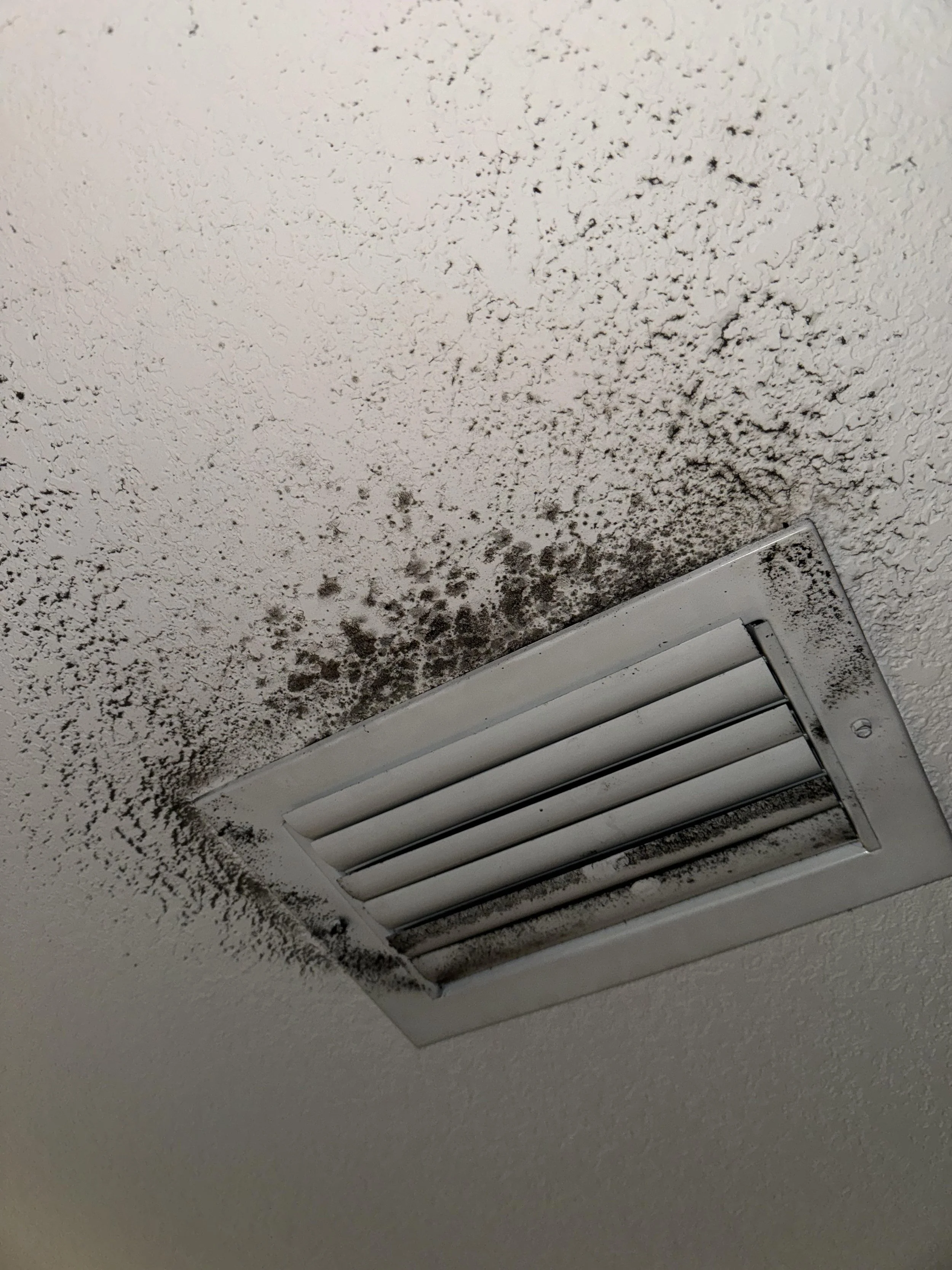 Ceiling vent with black mold and water damage around it.