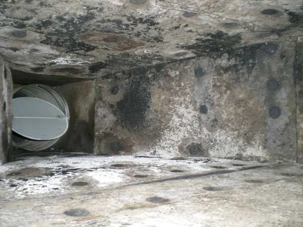 Close-up of the inside of a pipe or cylindrical structure with dirt and mold, featuring a white PVC pipe on the left side.