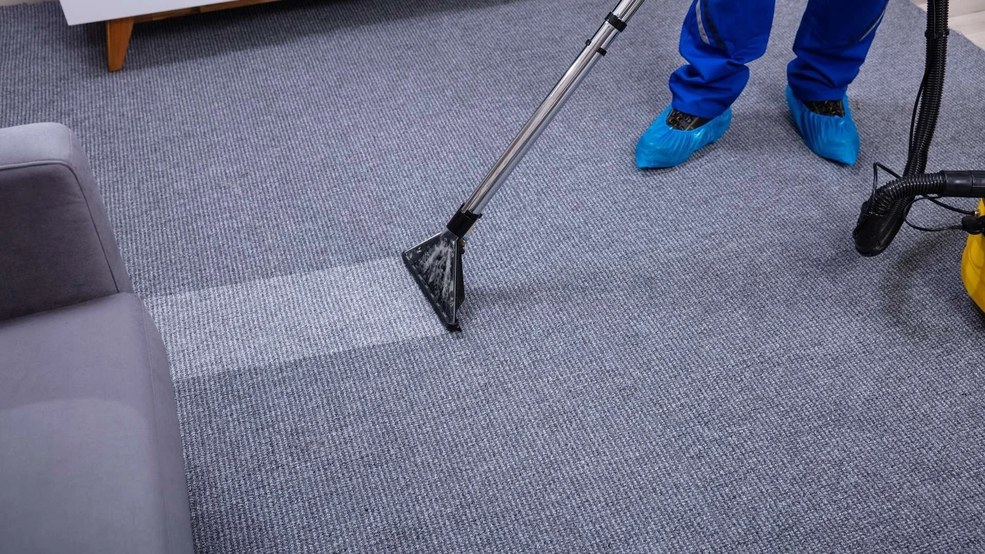 Person wearing blue protective shoe covers vacuuming gray carpet with a floor-cleaning machine.