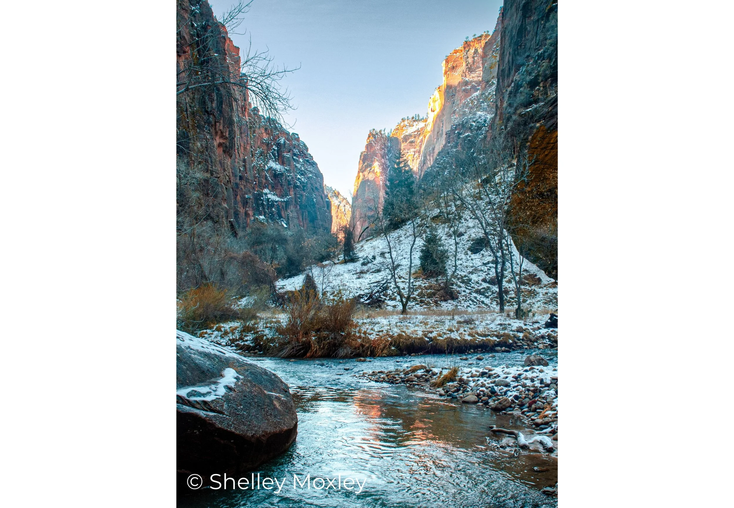 A Dustland Fairytale